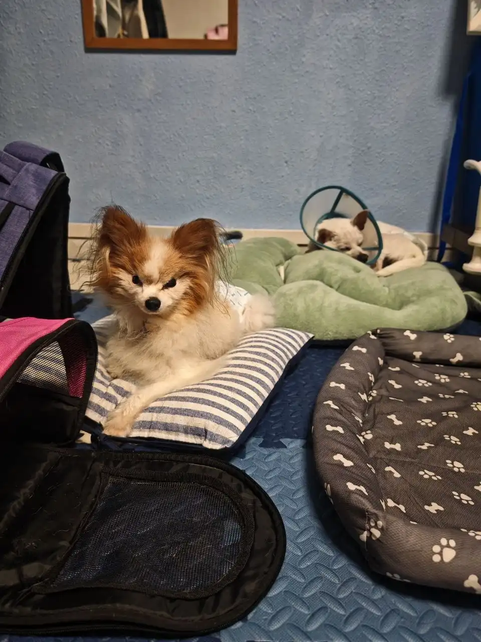 image-13