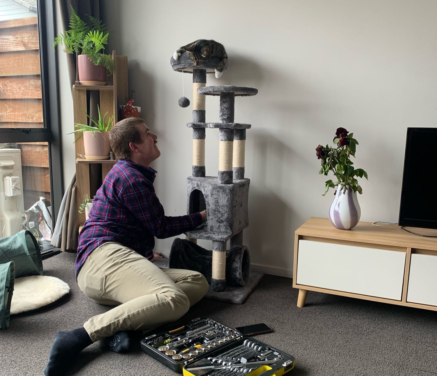 image-1