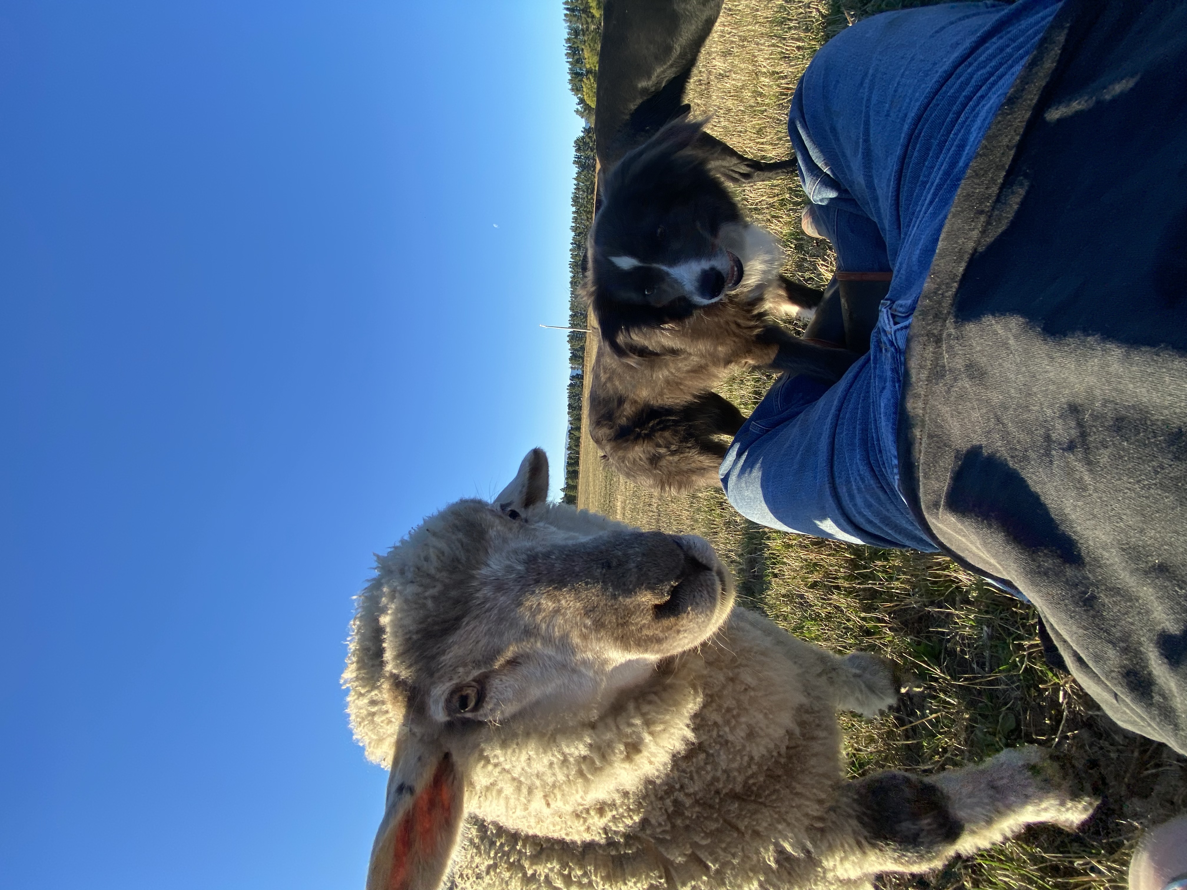 image-8