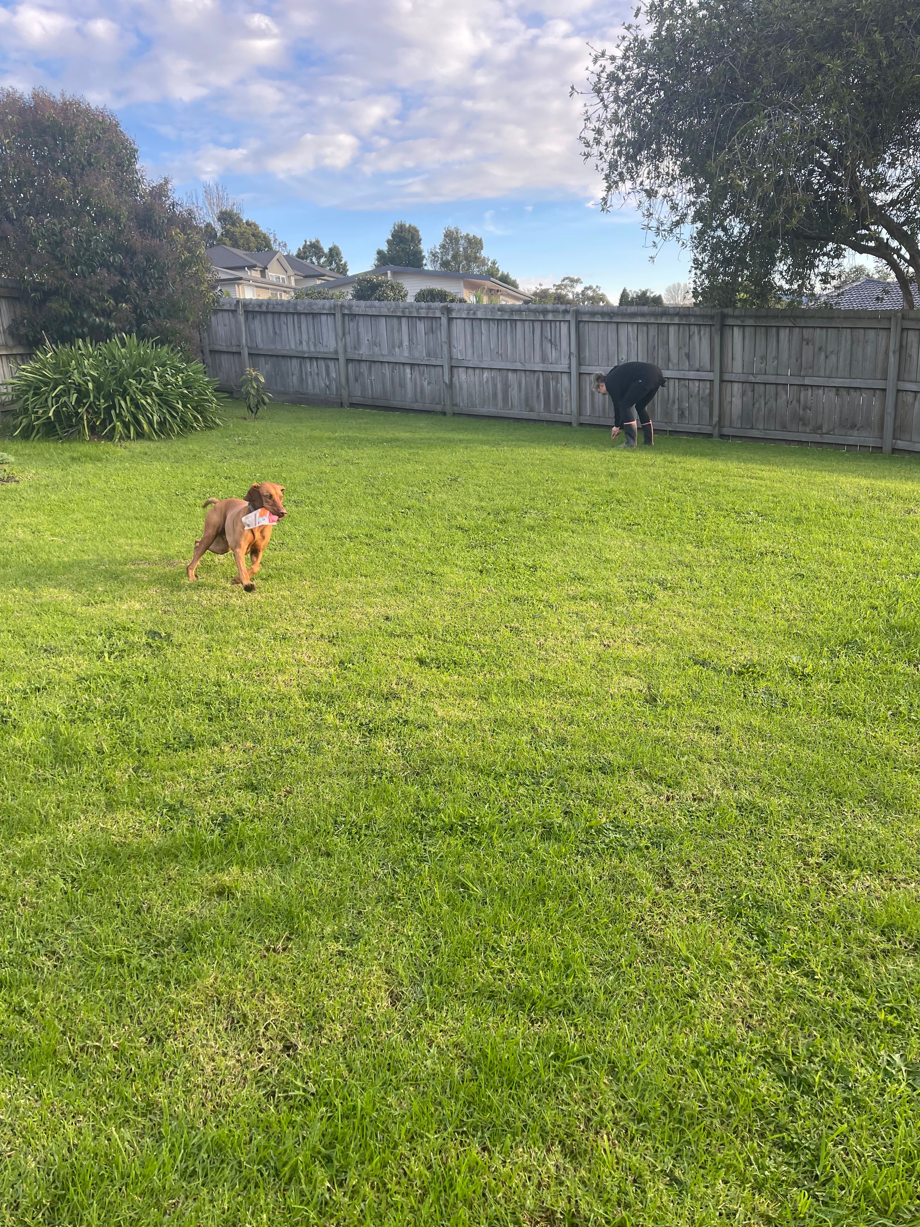 image-18