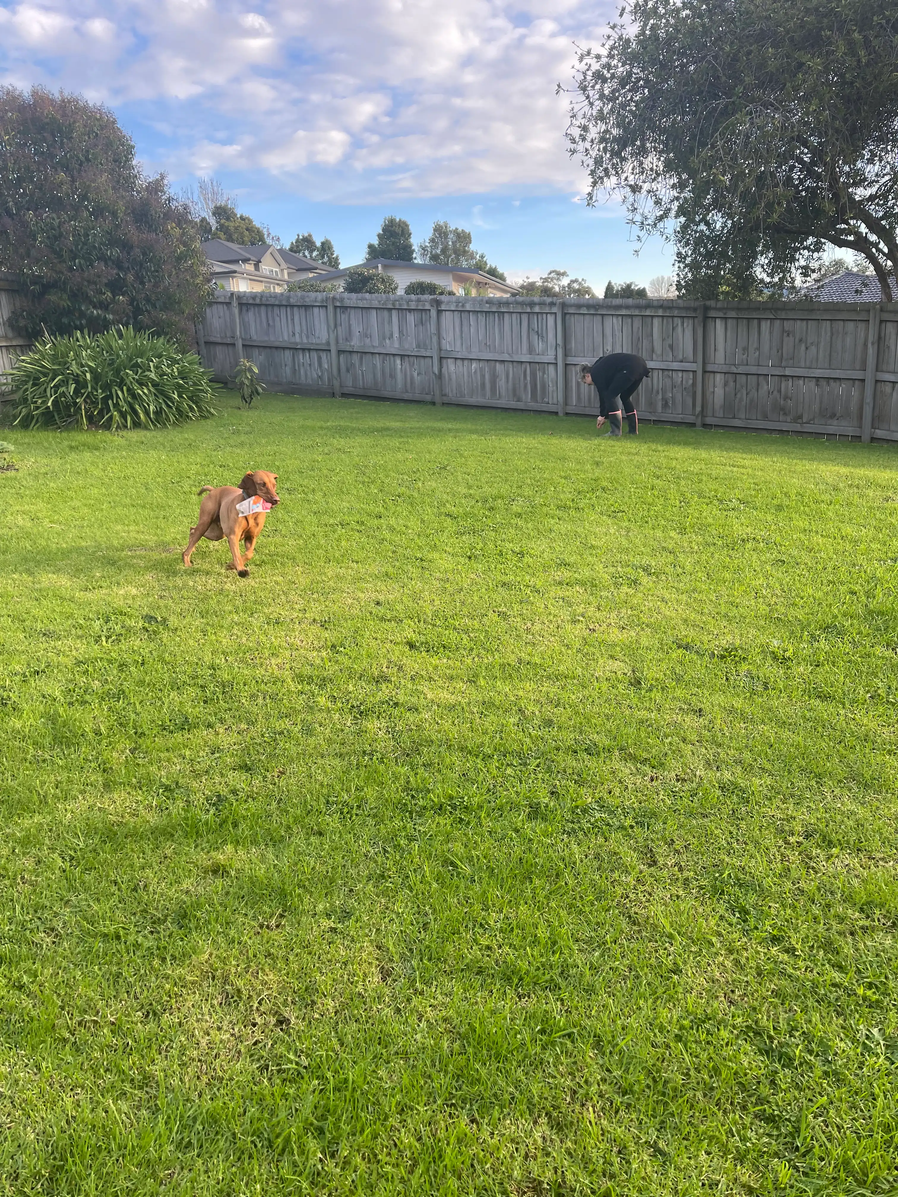image-18