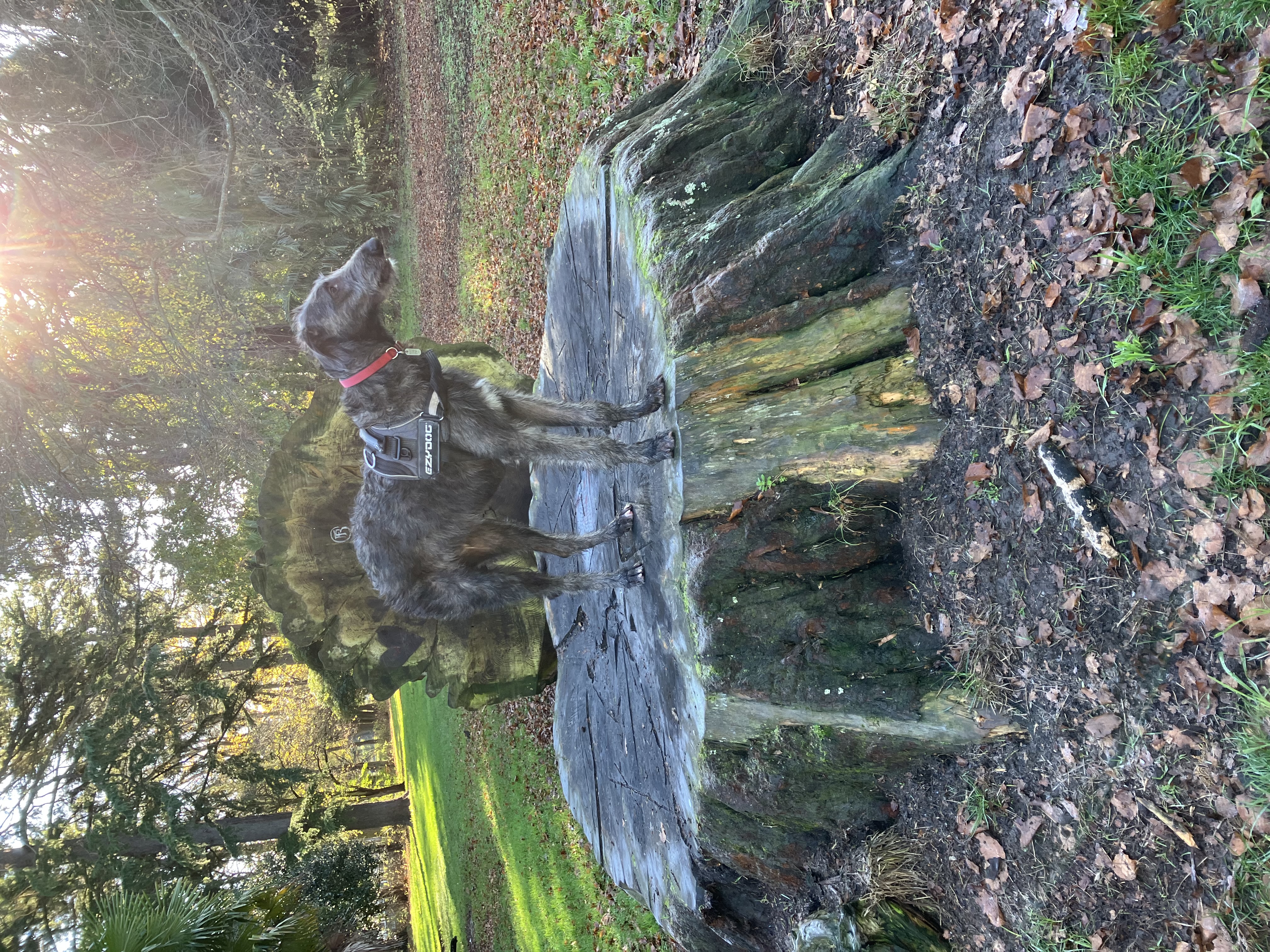 image-8