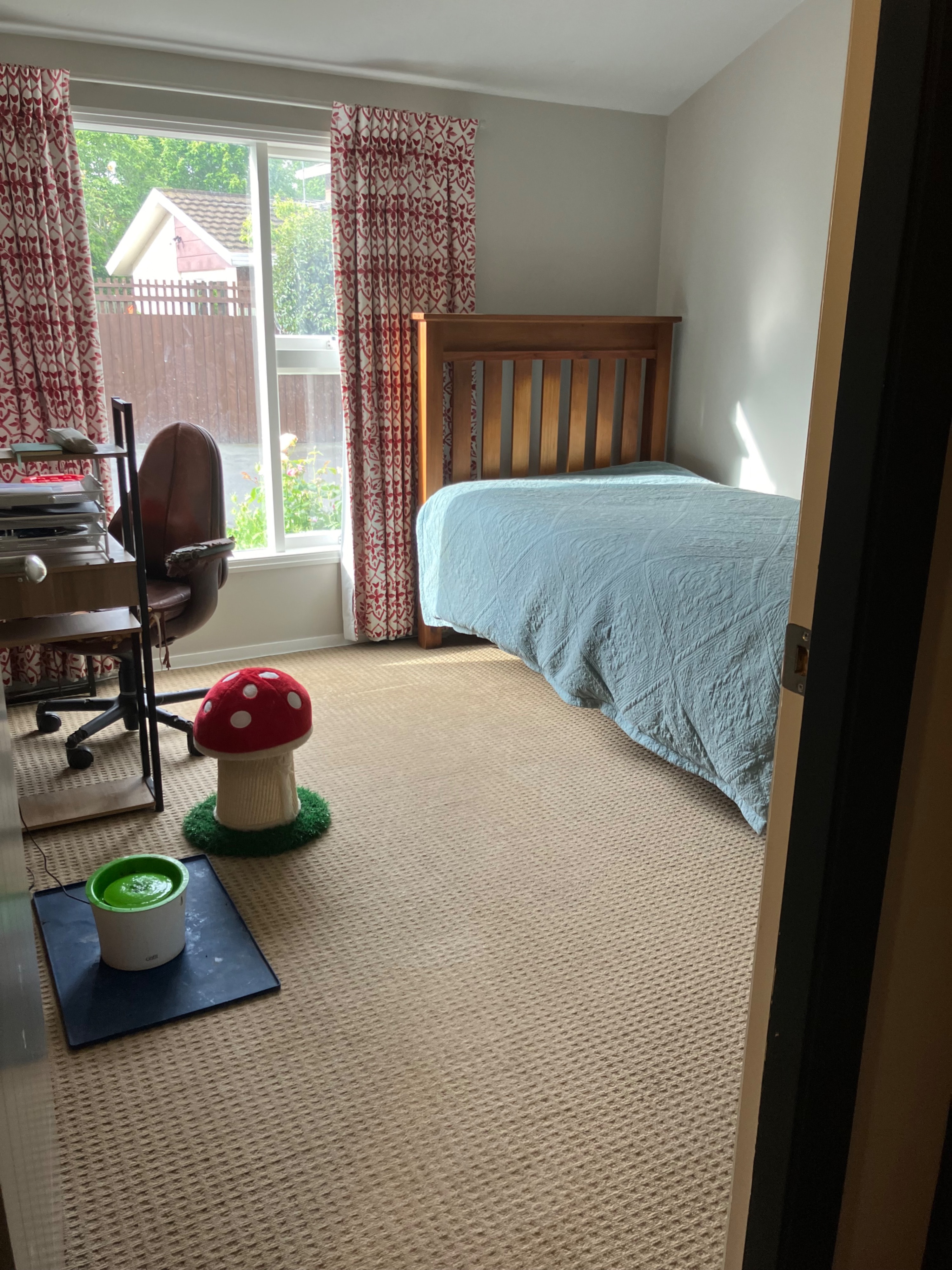 image-10
