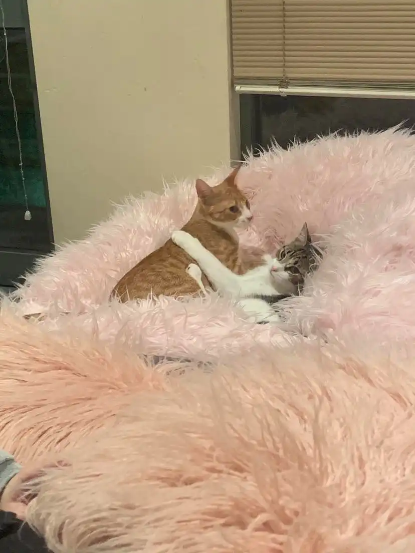 image-6