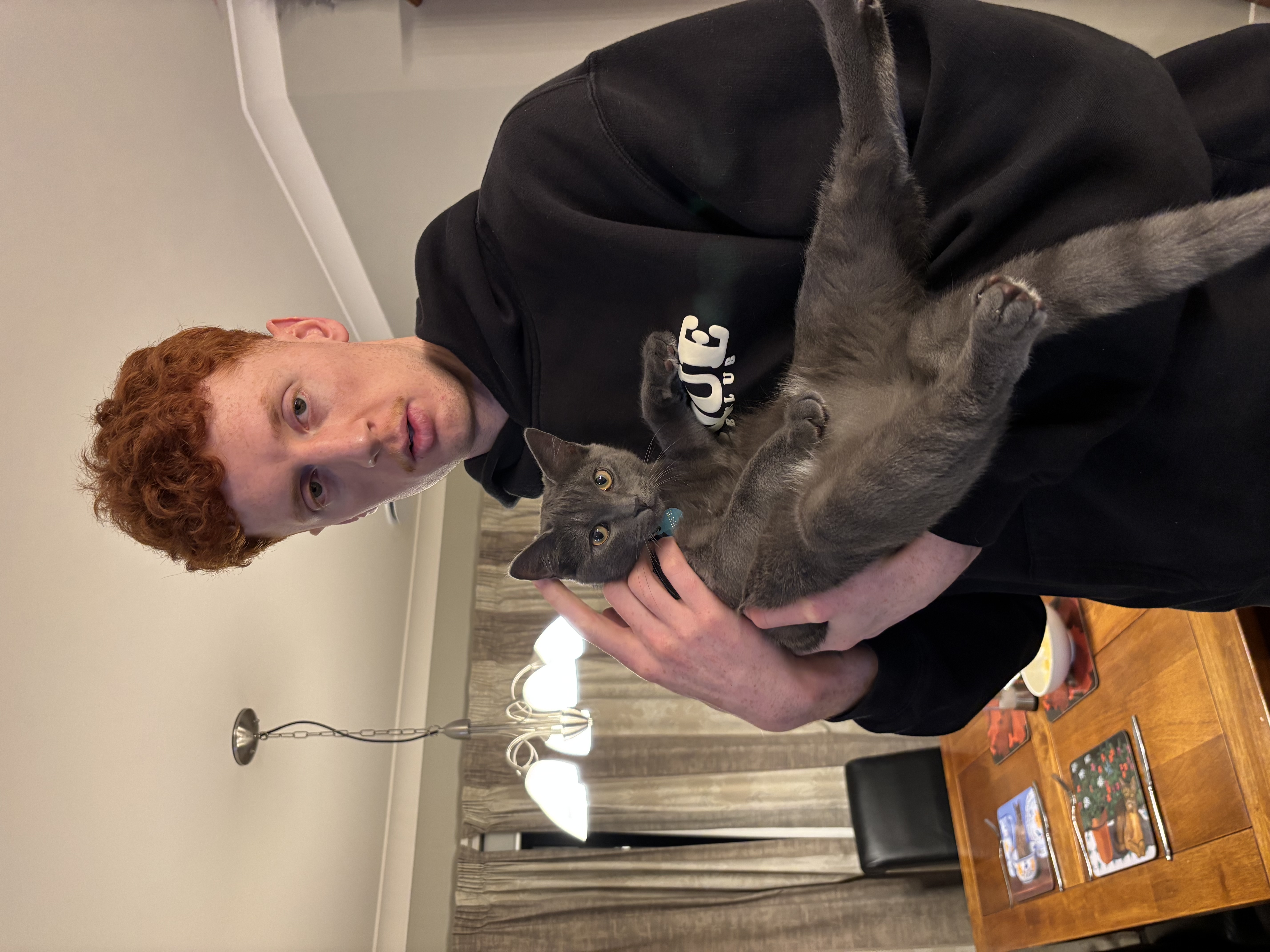 image-6