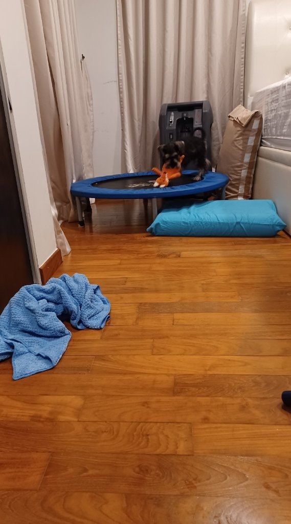 image-17