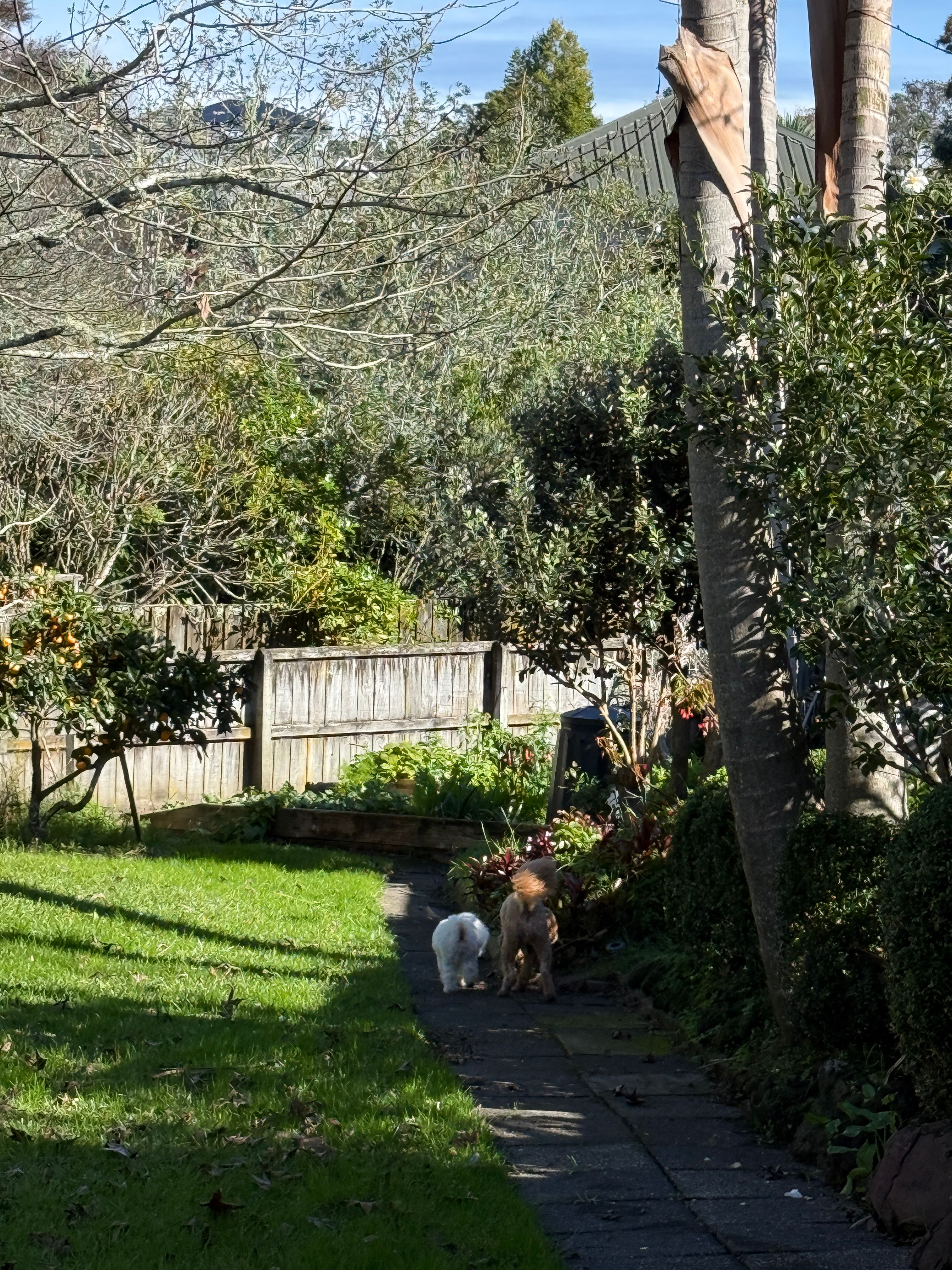 image-28