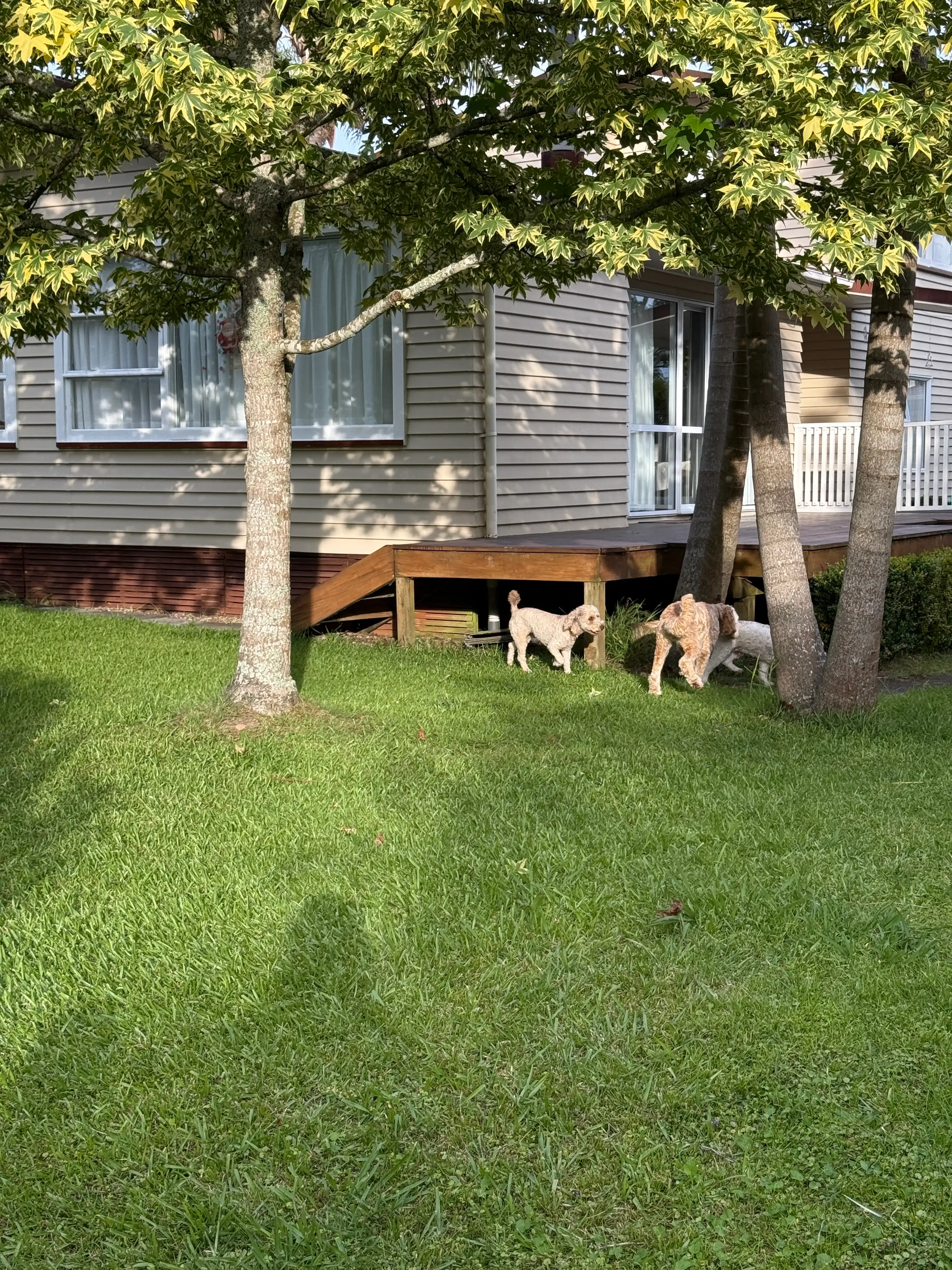 image-11