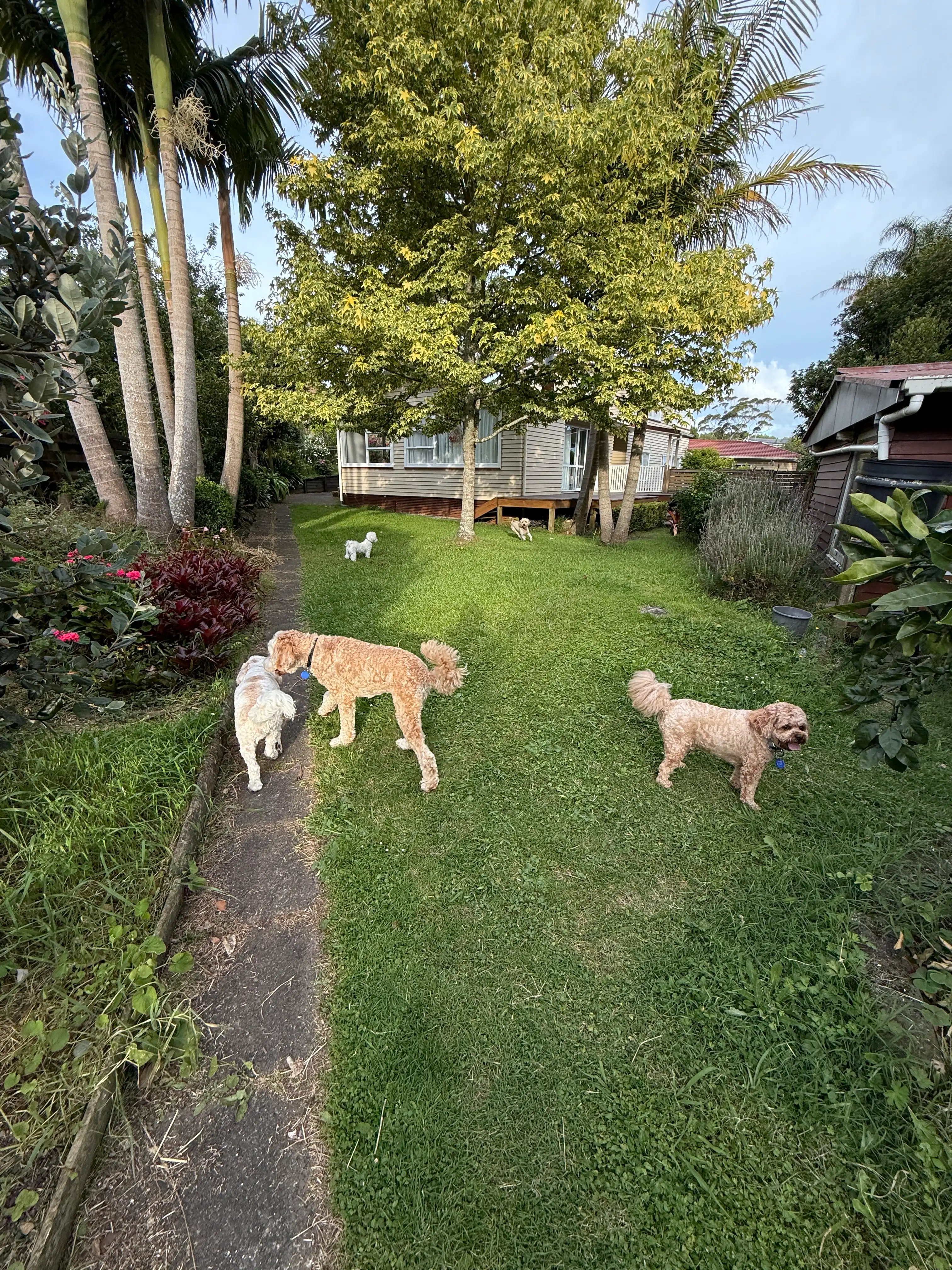 image-12