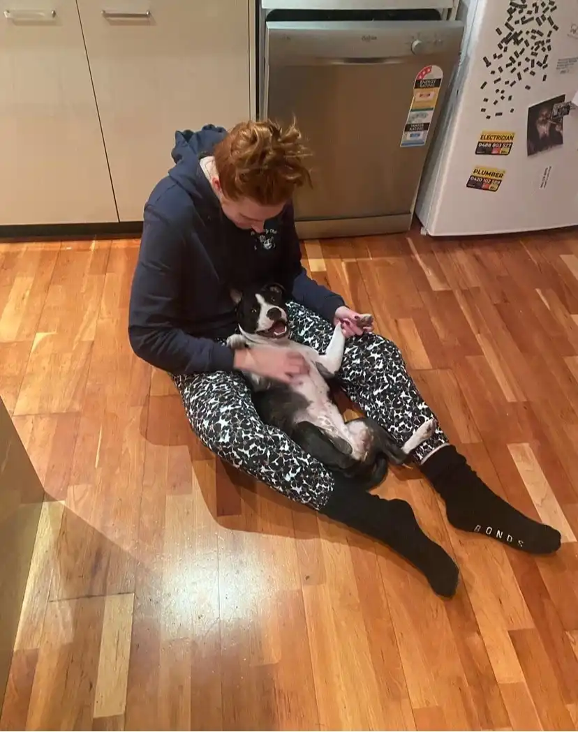 image-6
