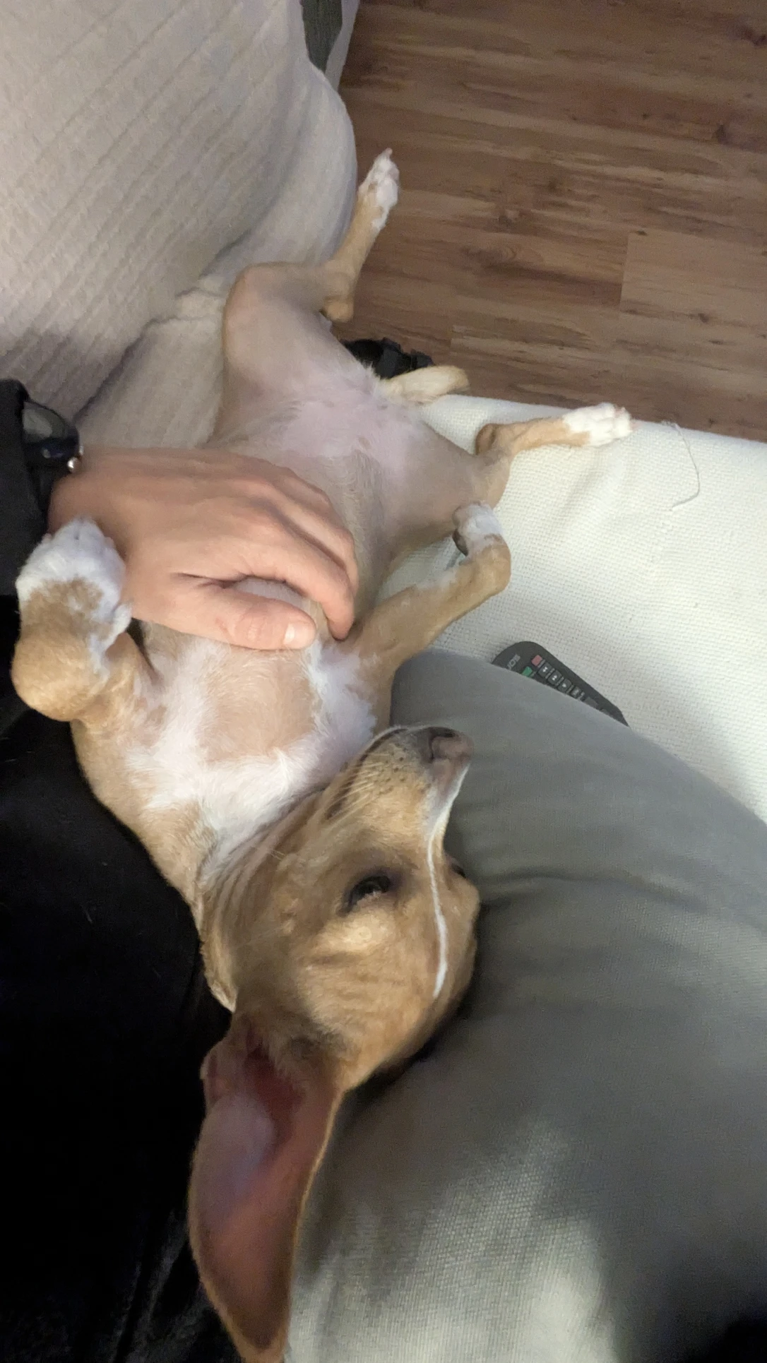 image-7