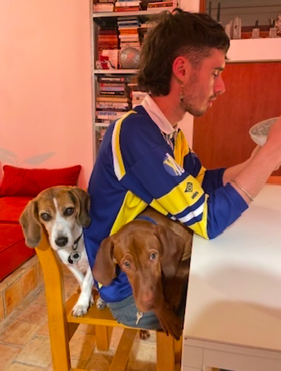 image-1