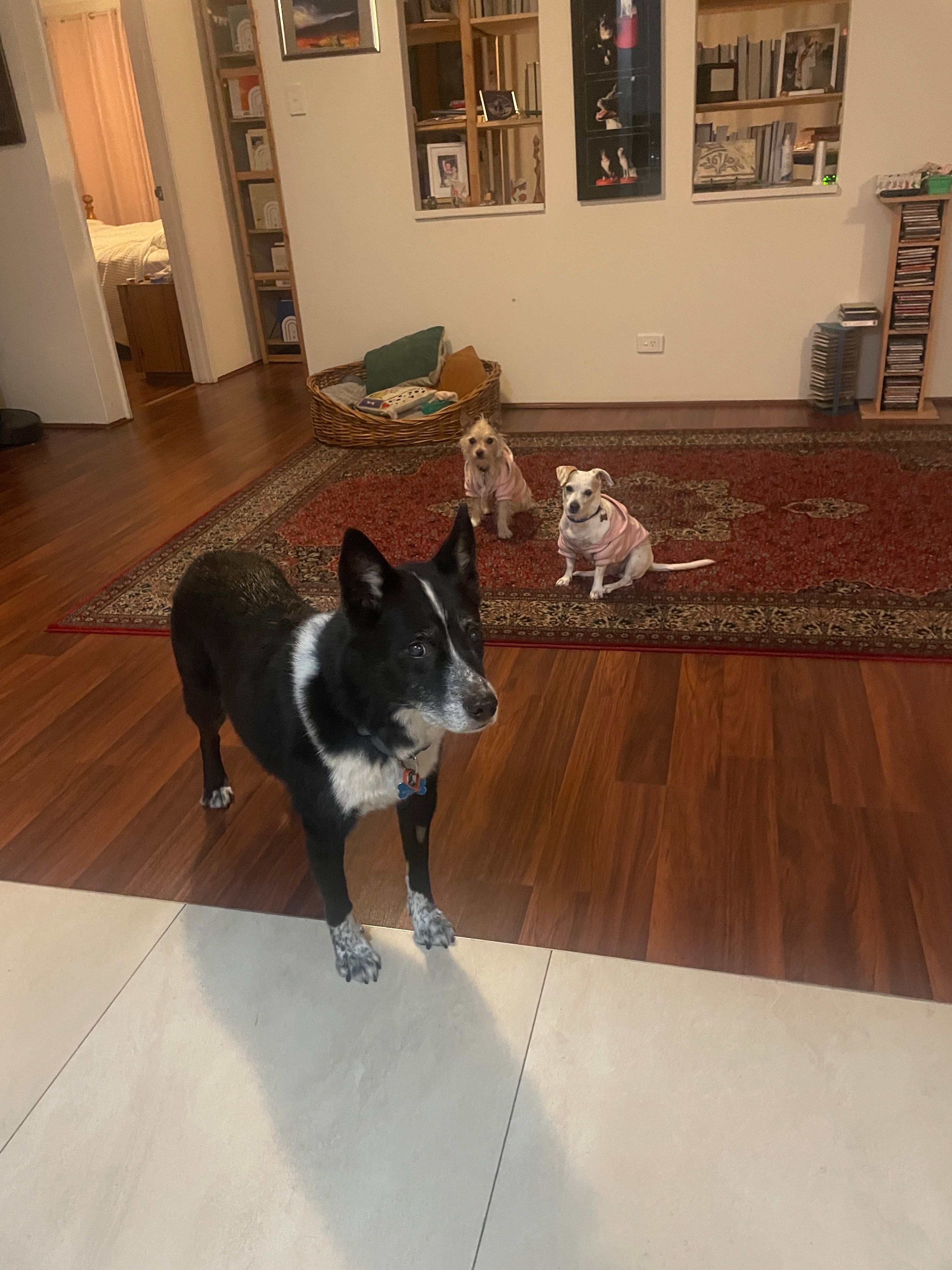 image-10