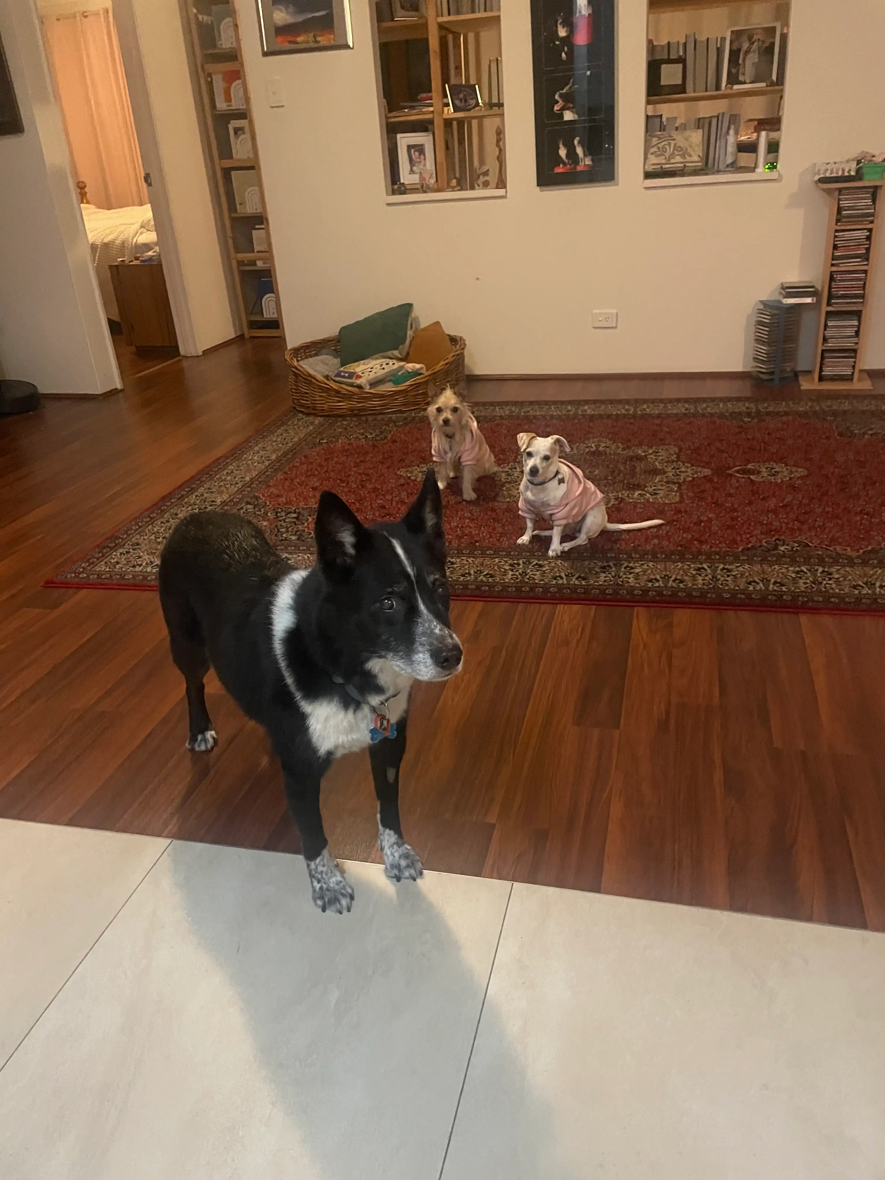 image-10