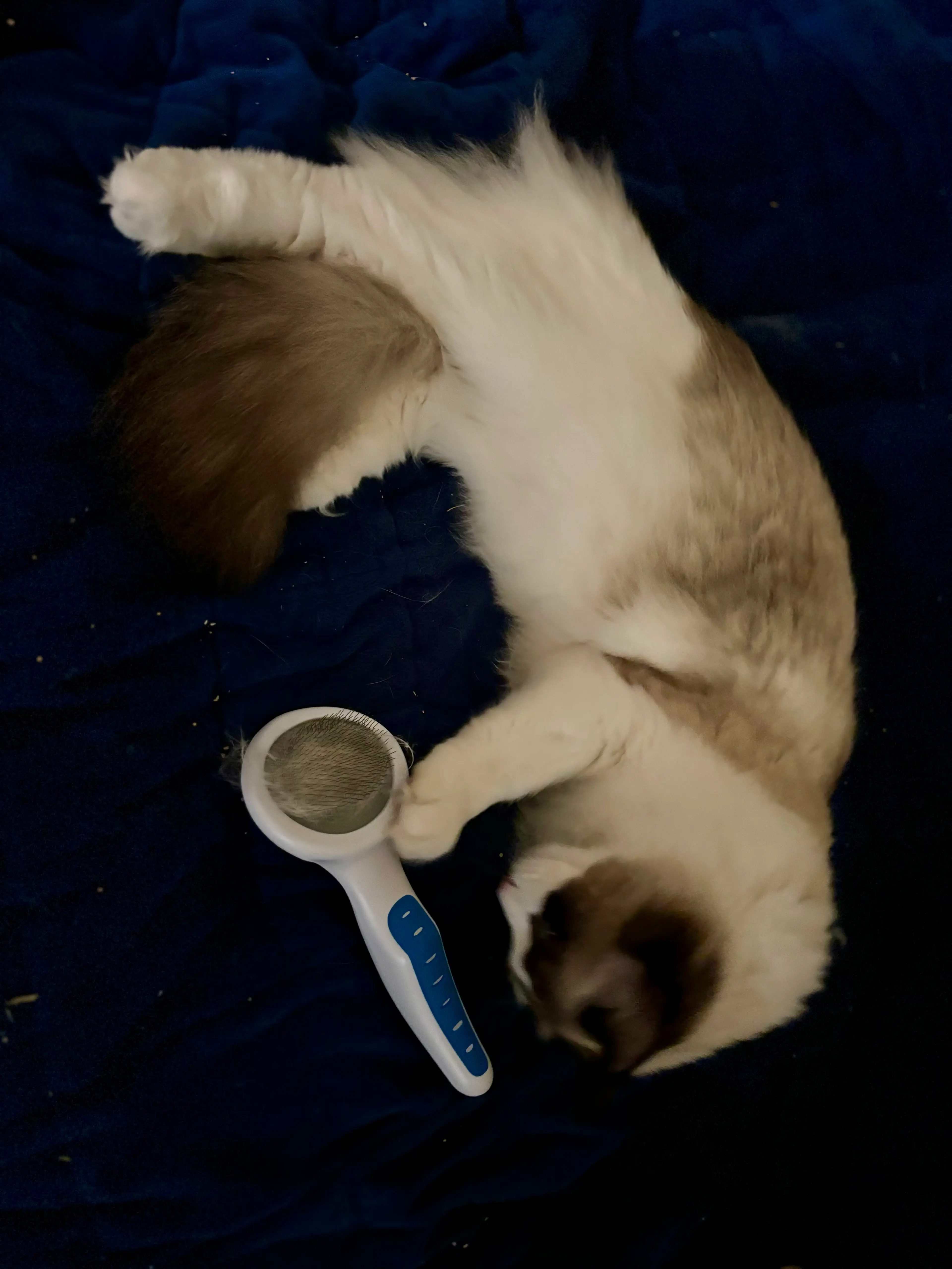 image-4