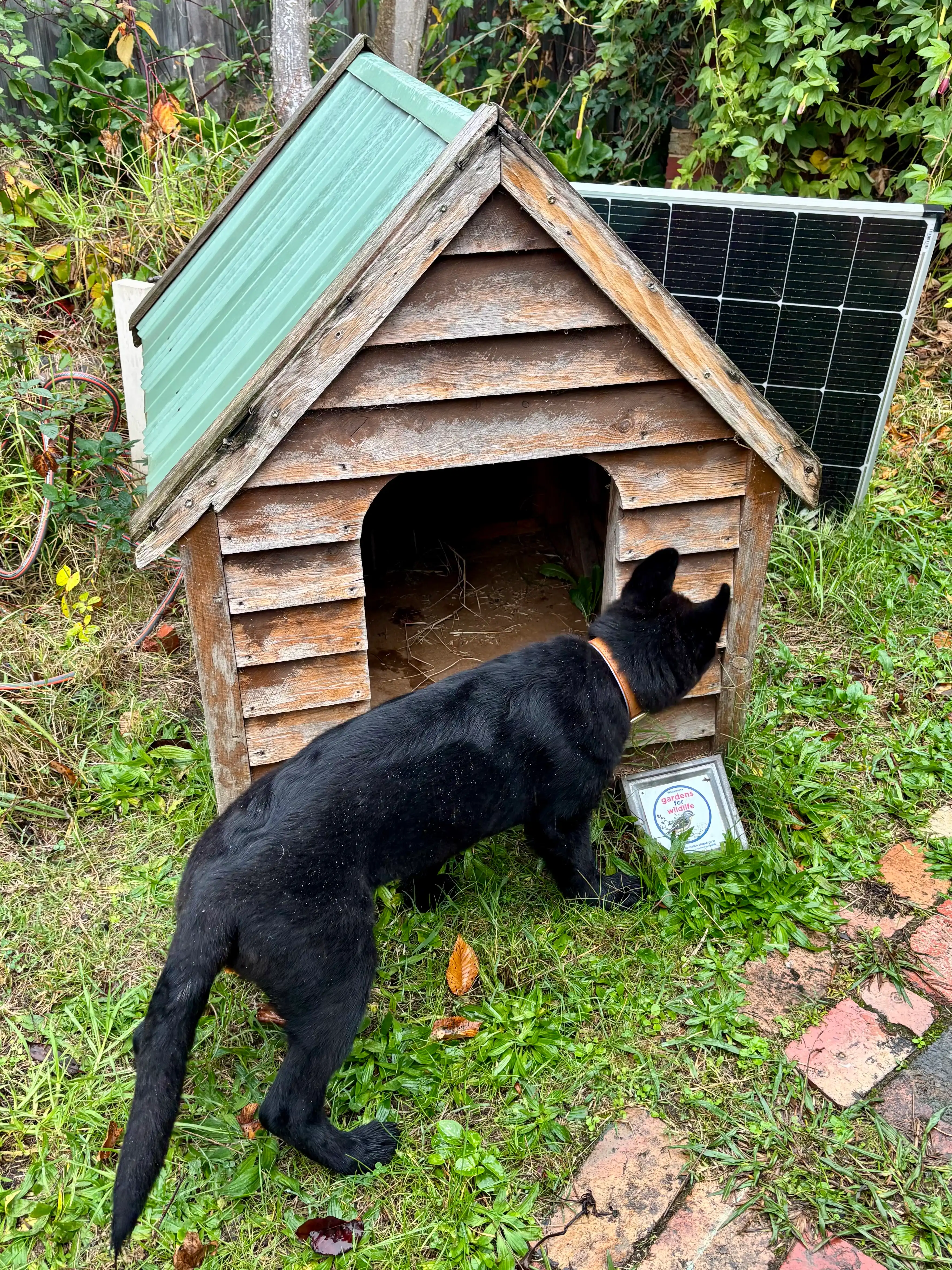 image-12