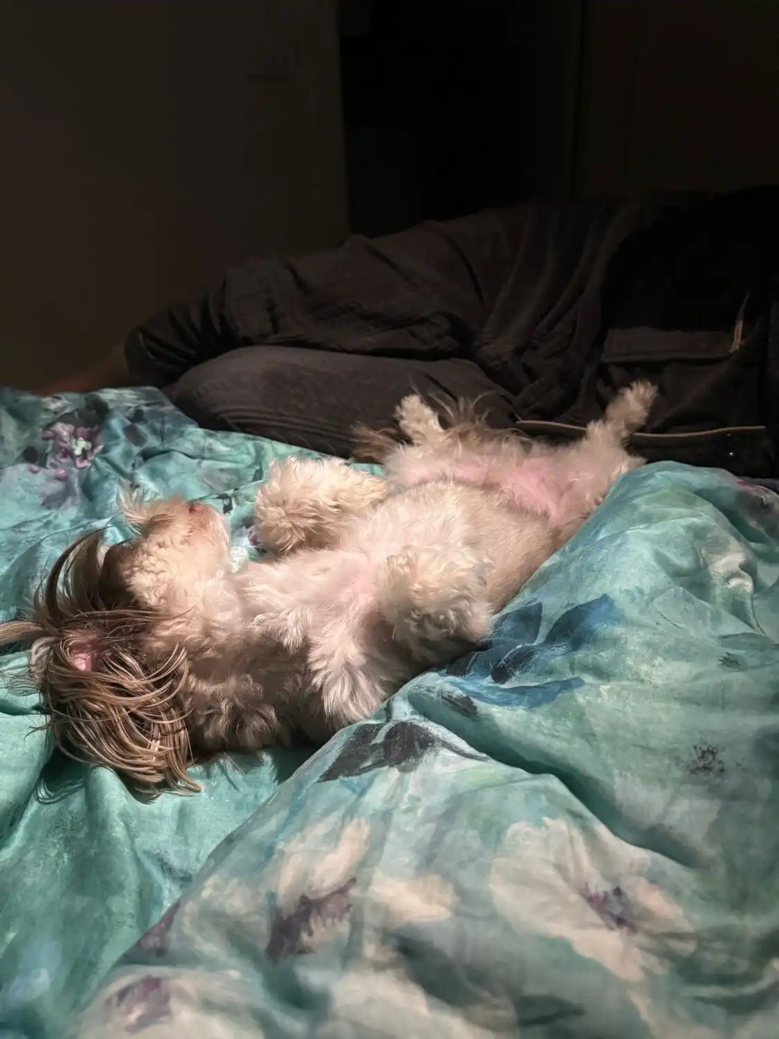 image-5