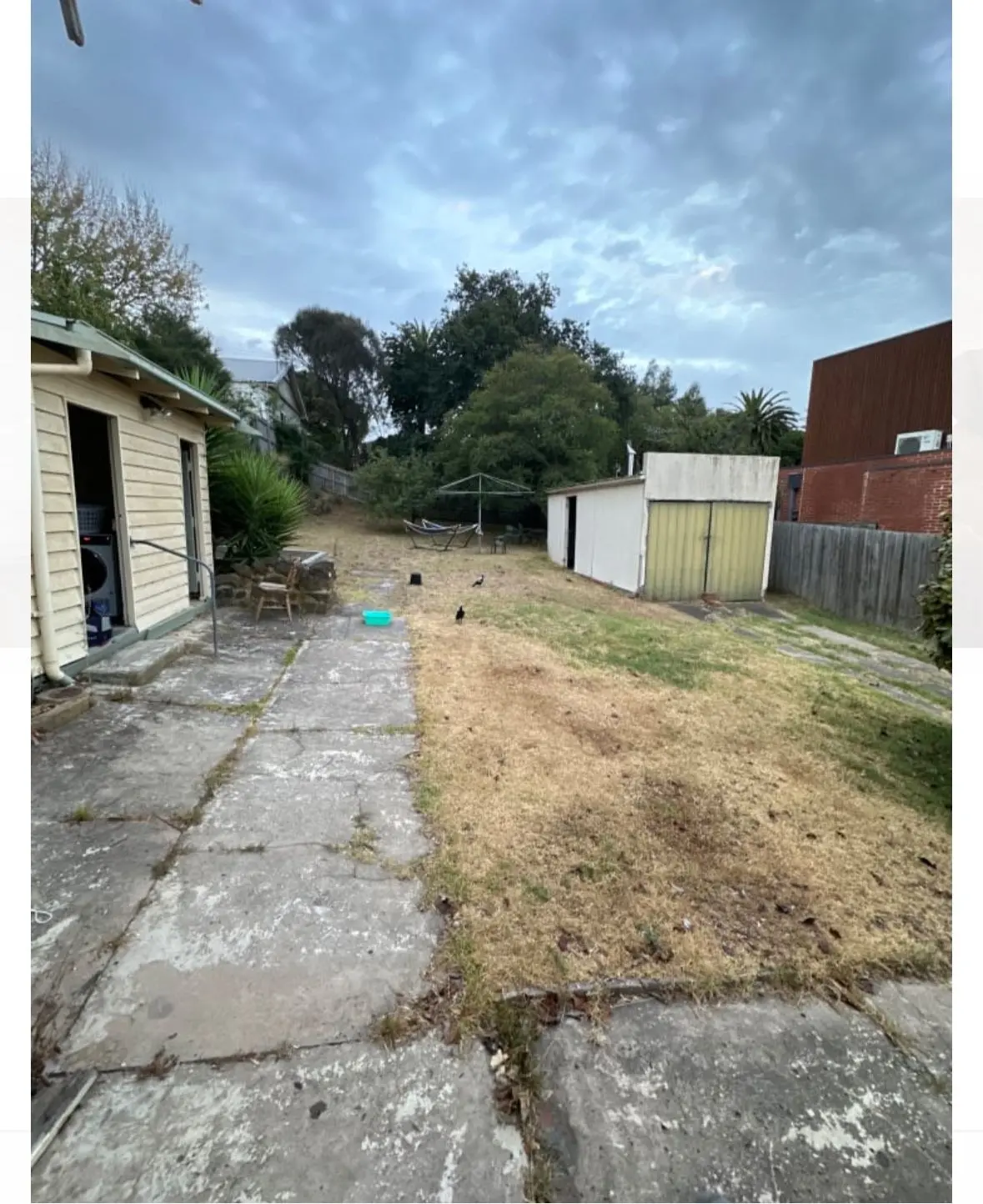 image-3