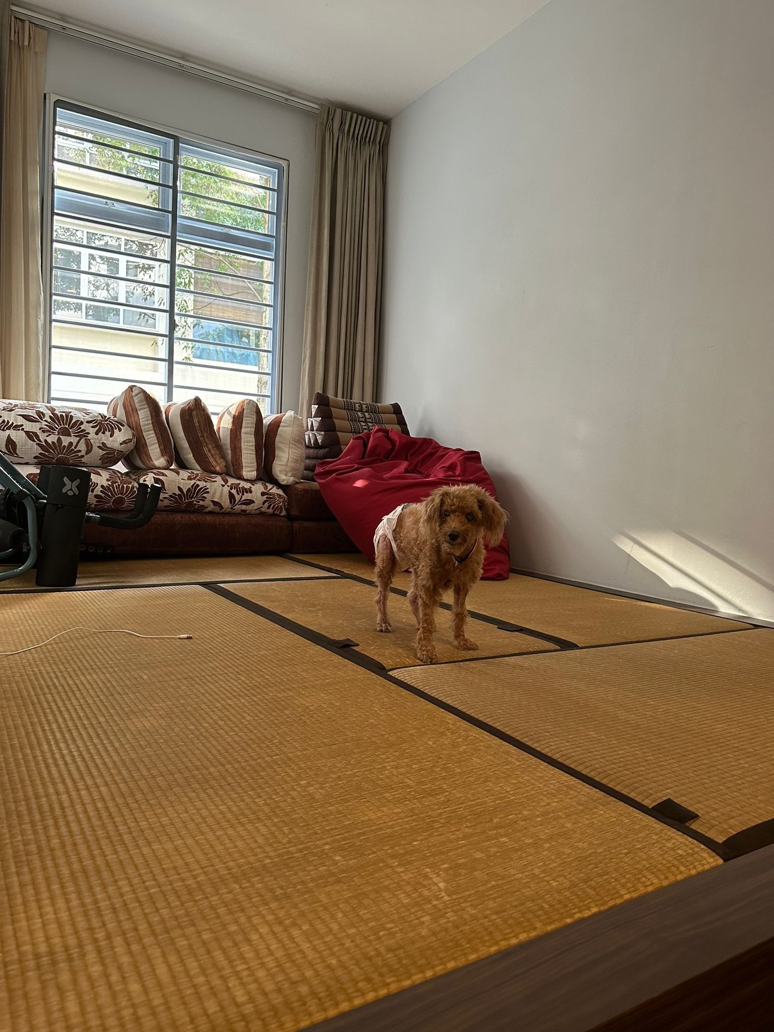 image-7