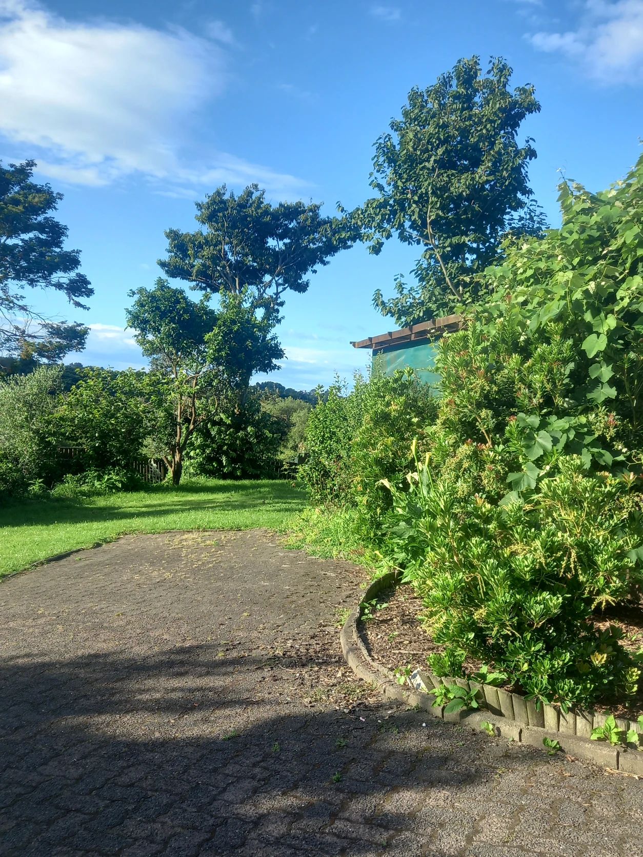 image-20