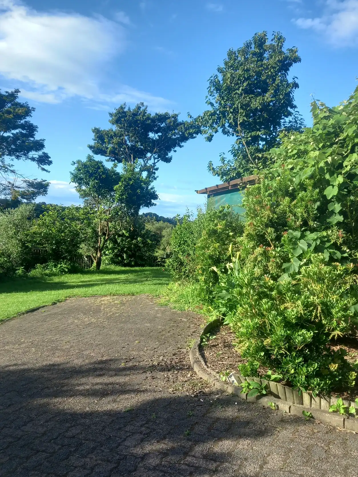 image-20