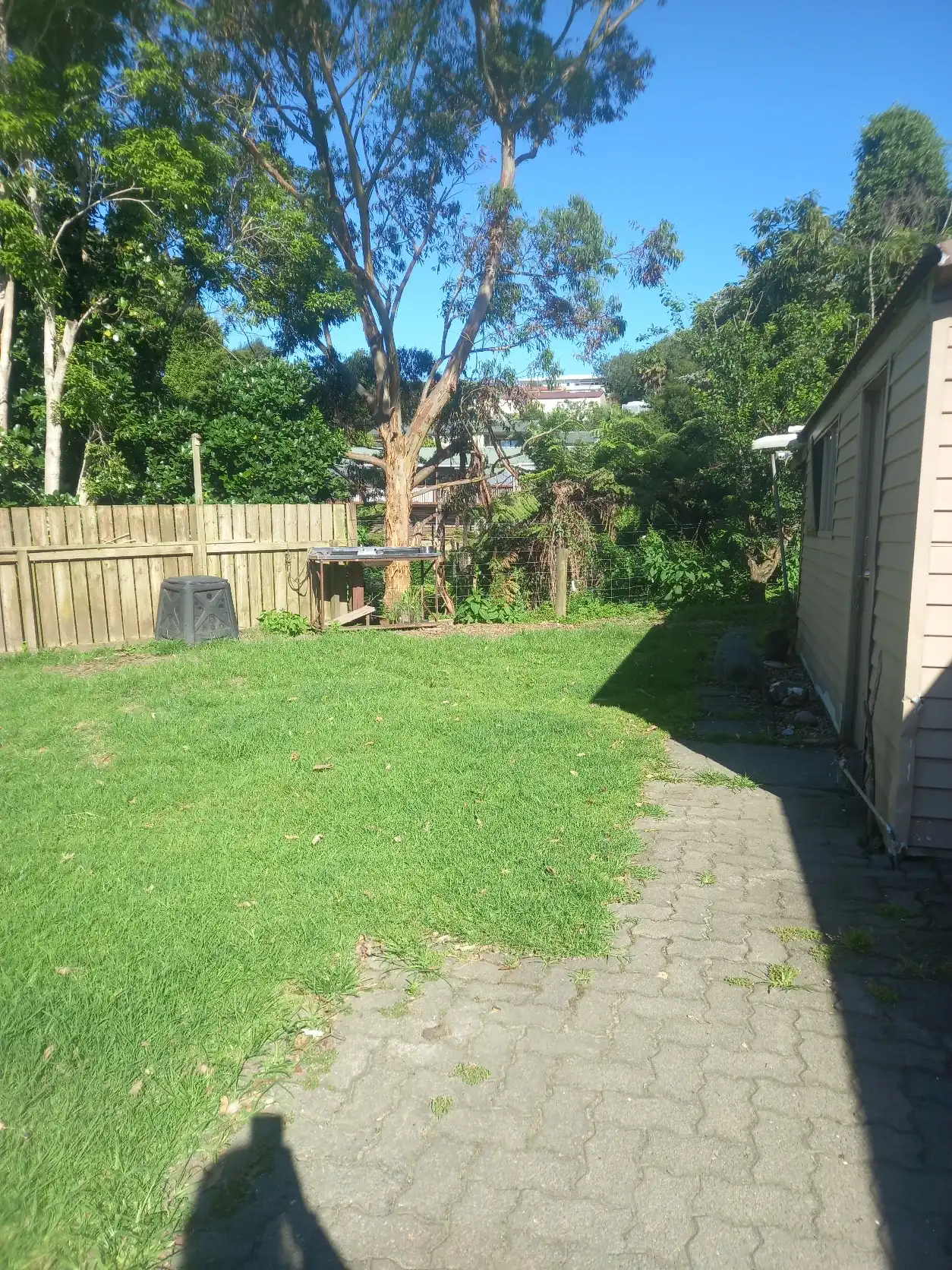 image-18