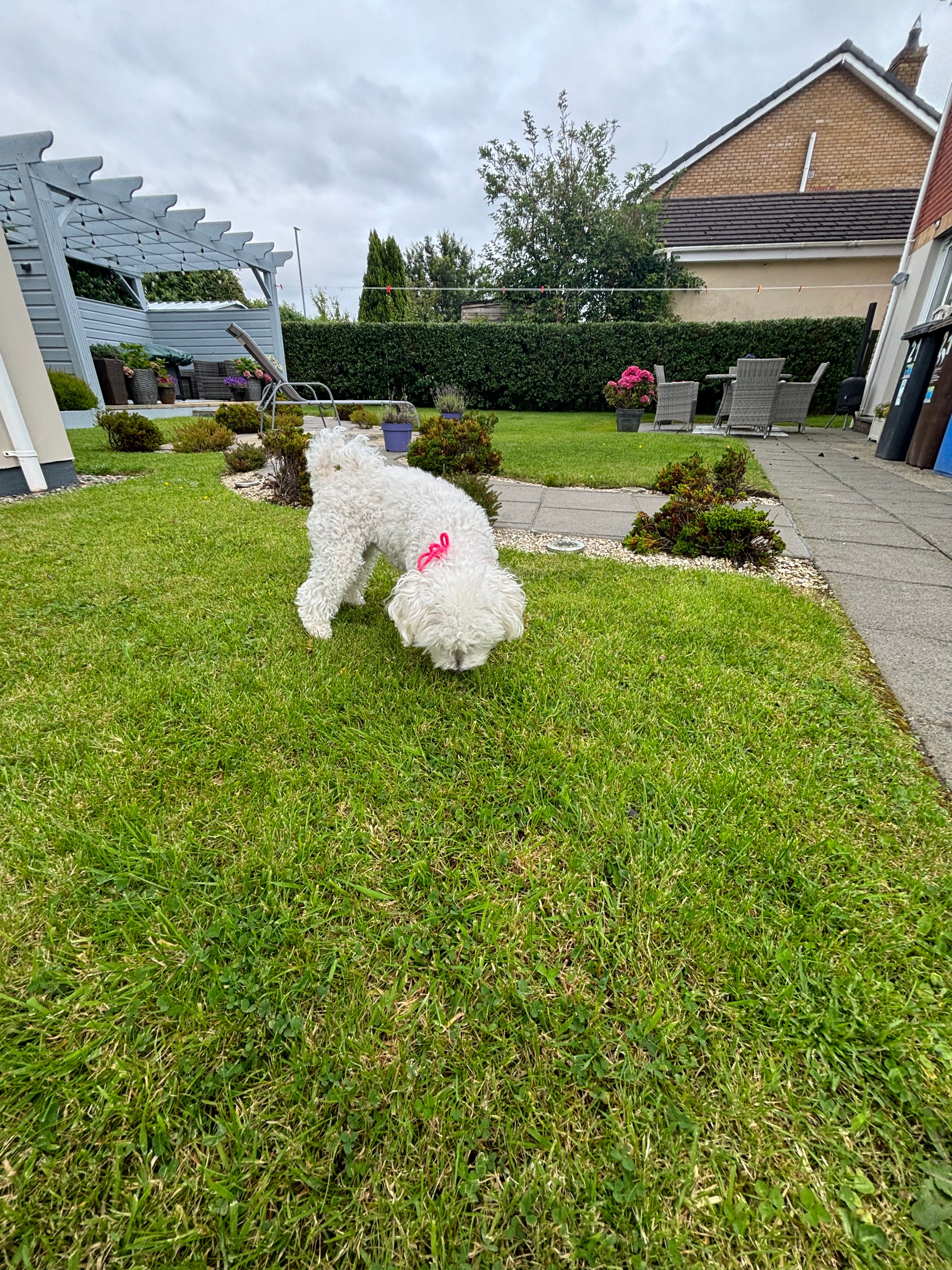 image-10