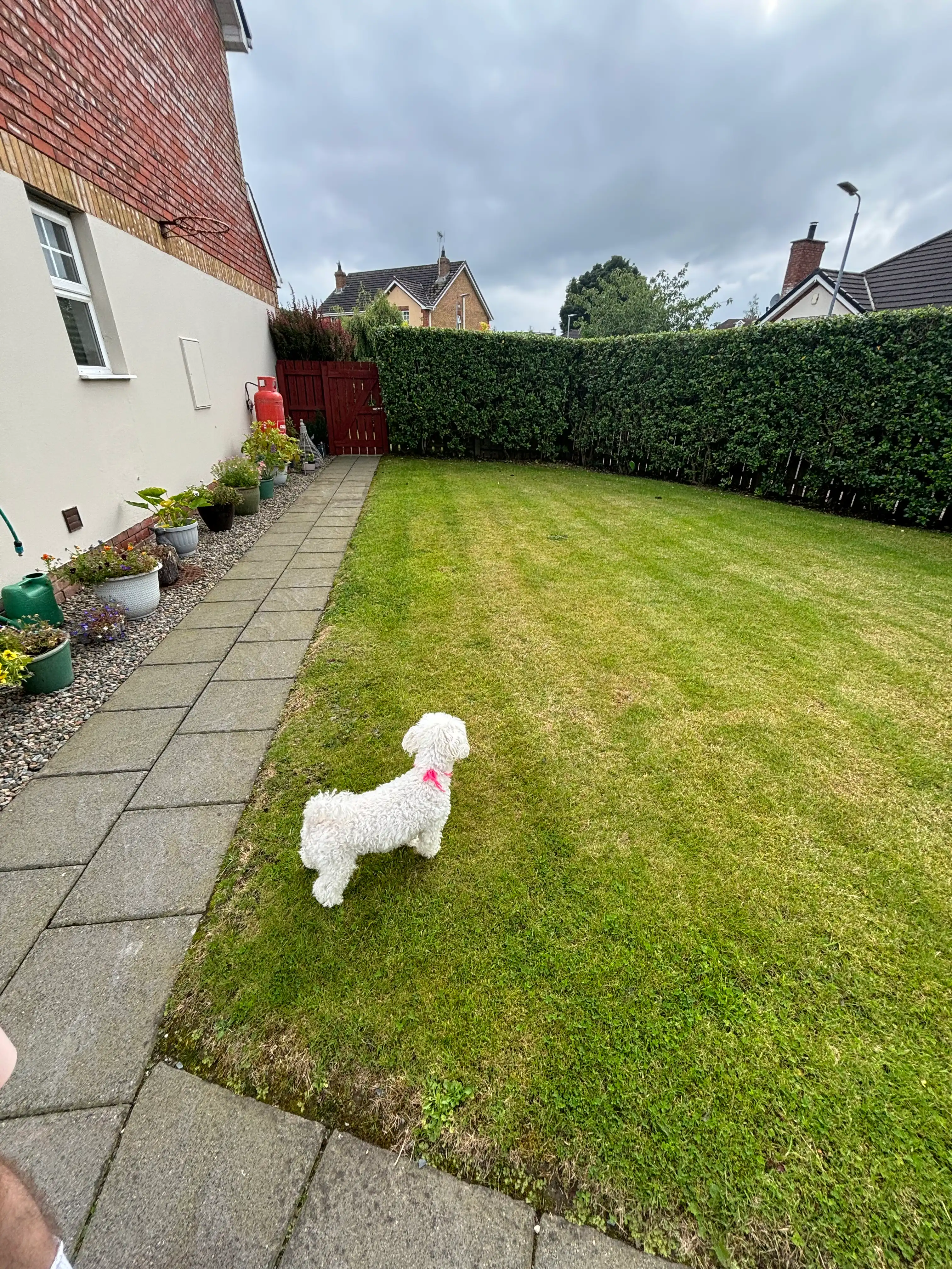 image-9