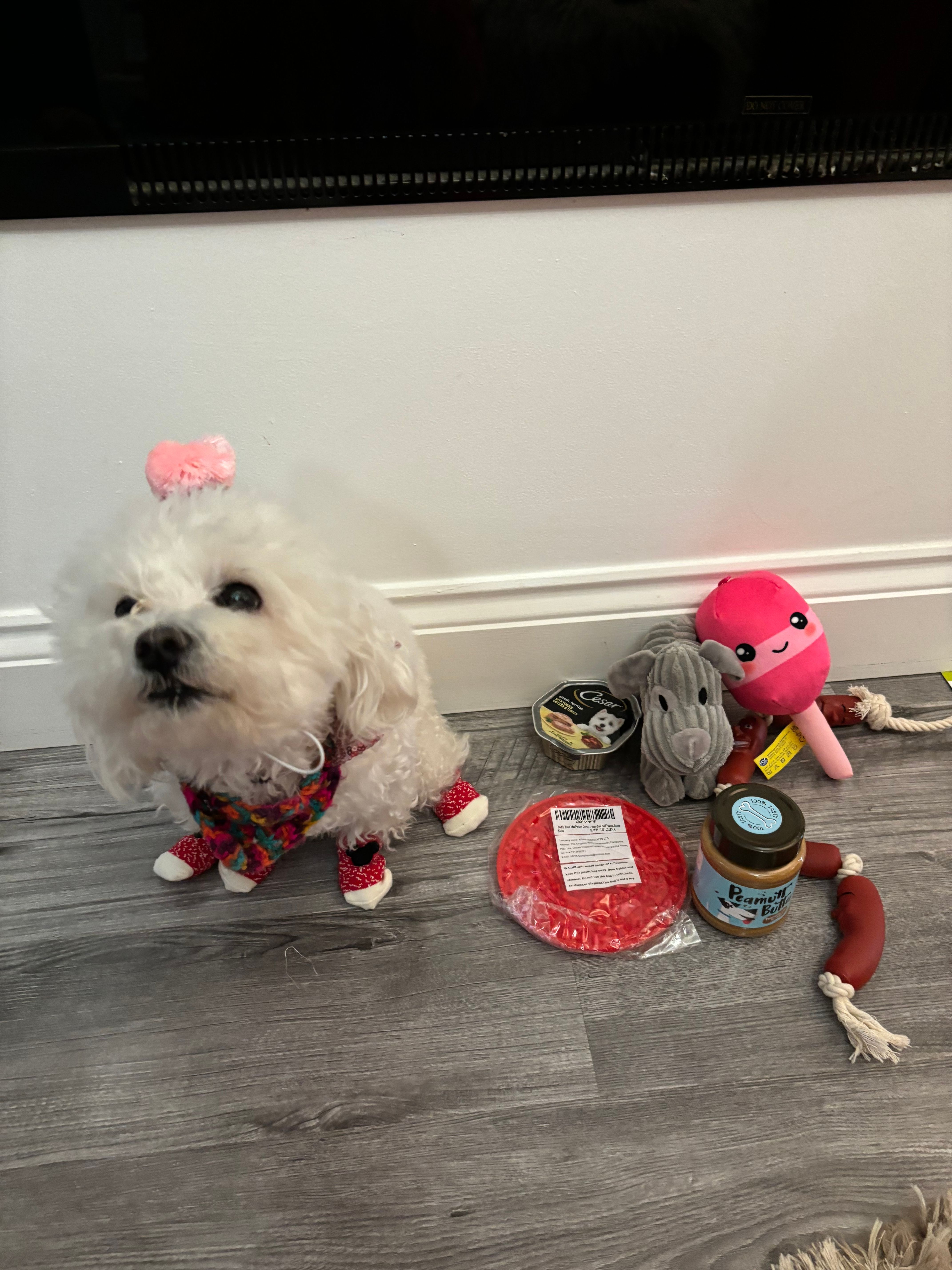 image-11