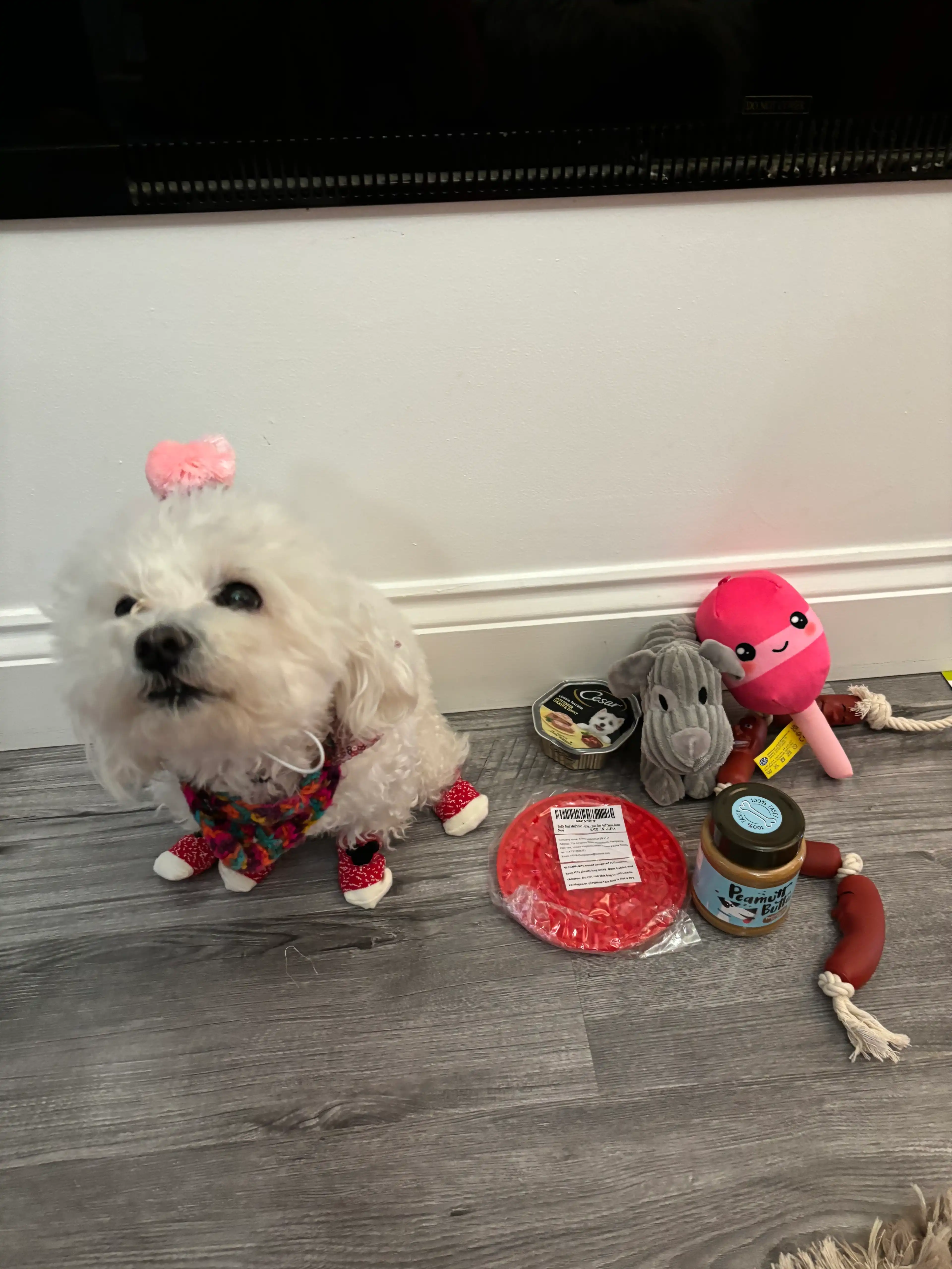 image-11
