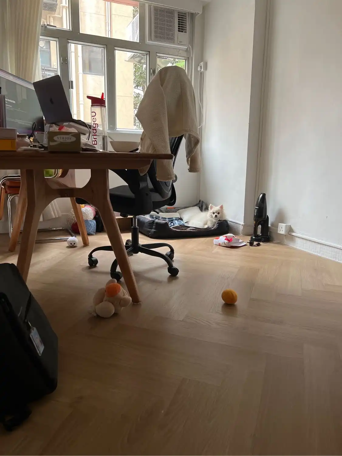 image-9