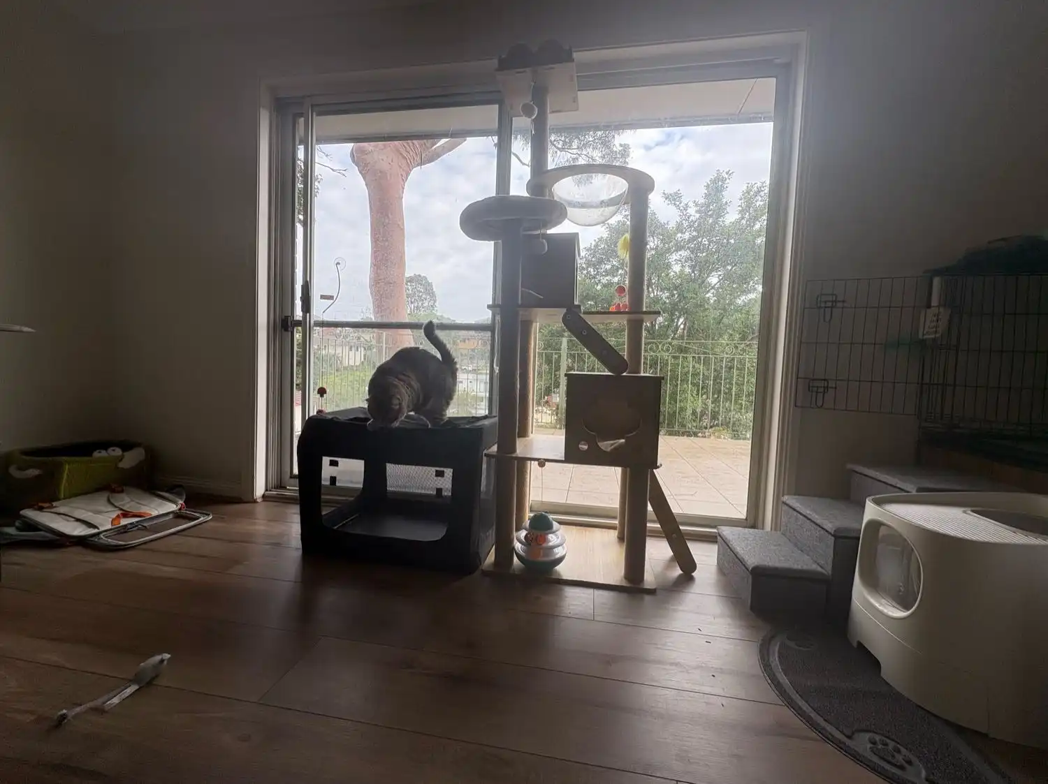 image-7