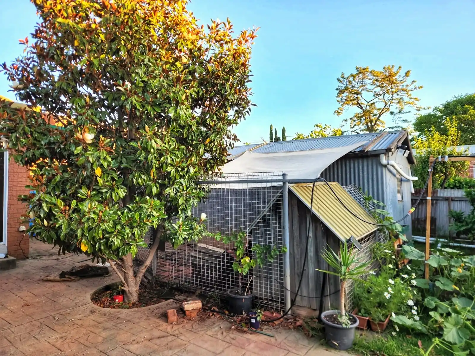 image-17
