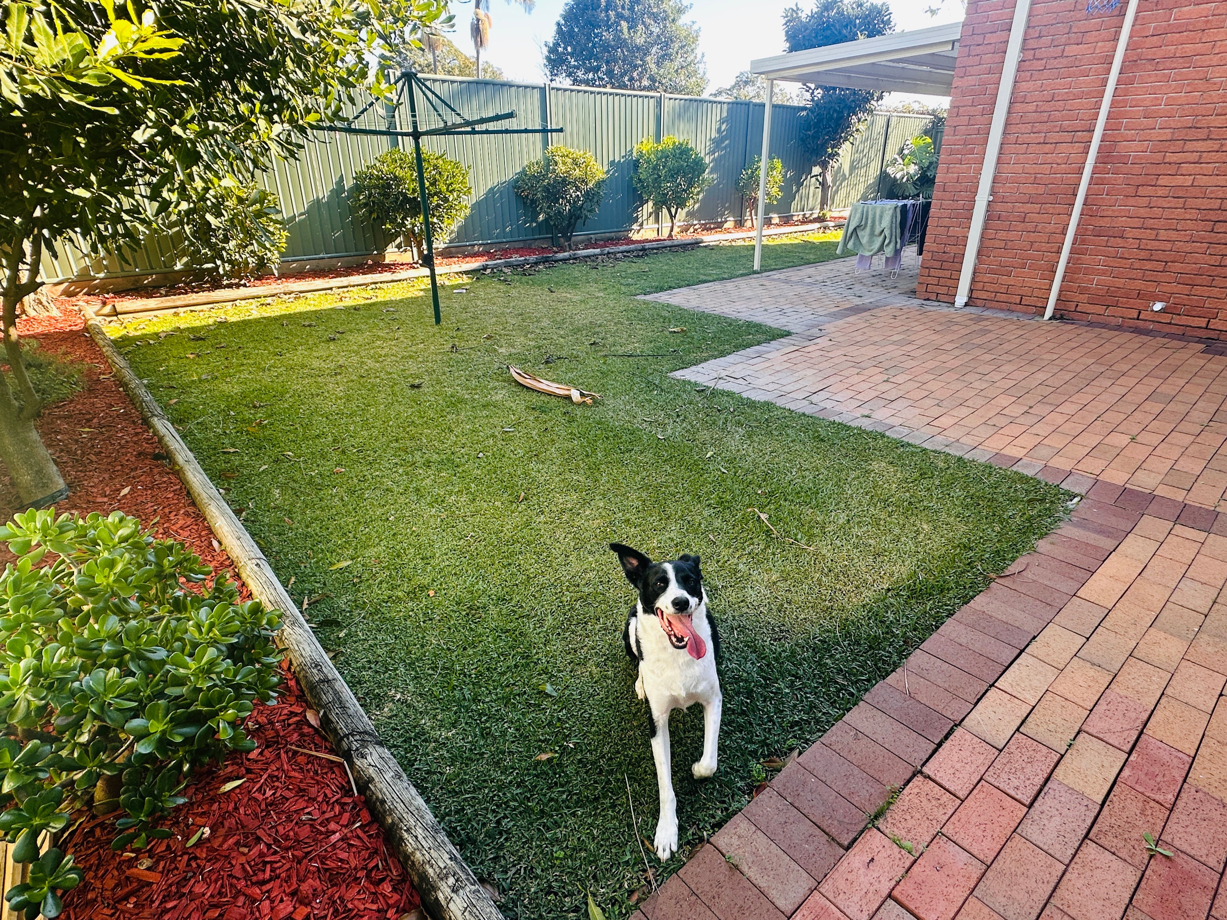 image-18
