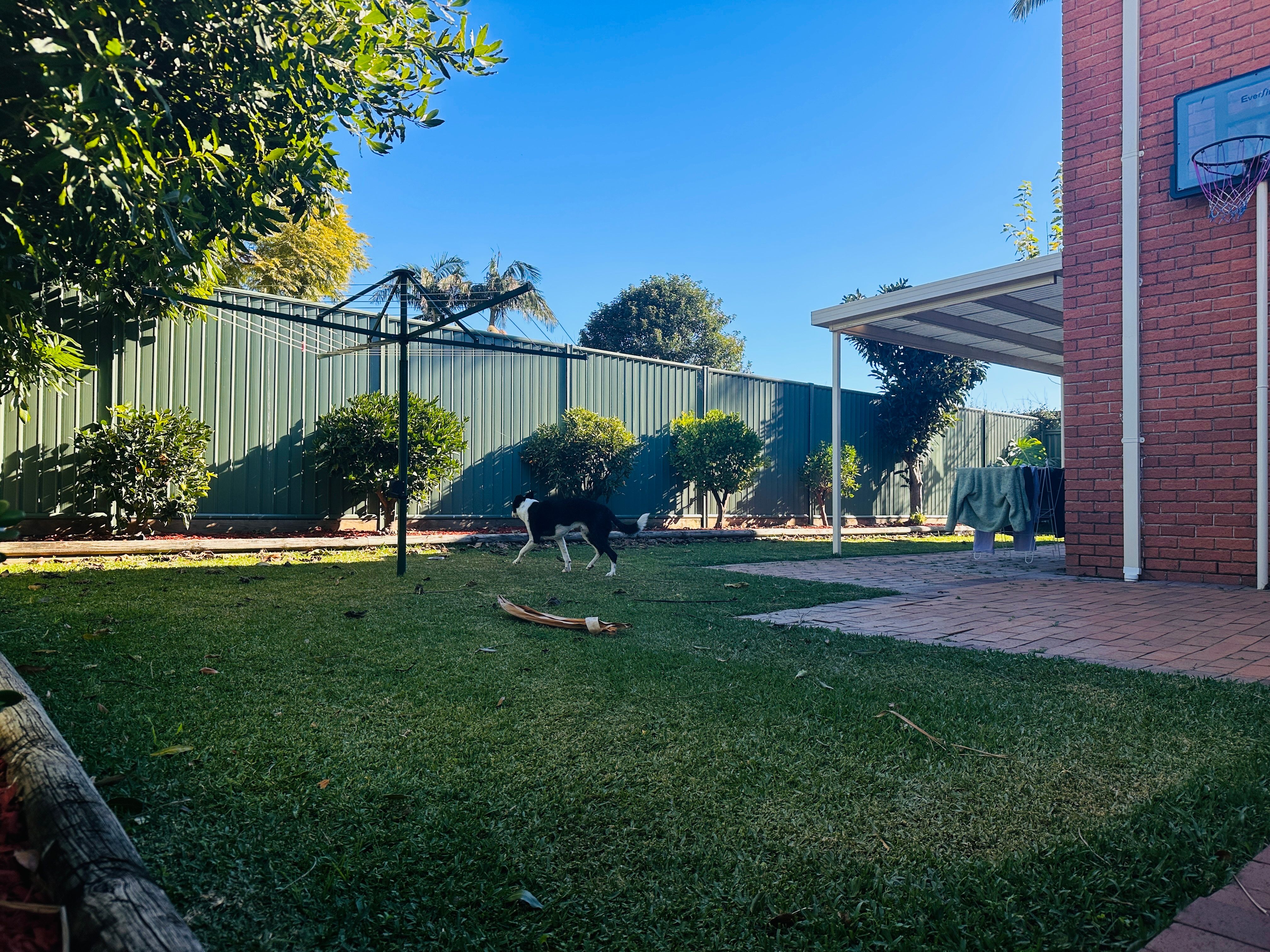 image-16