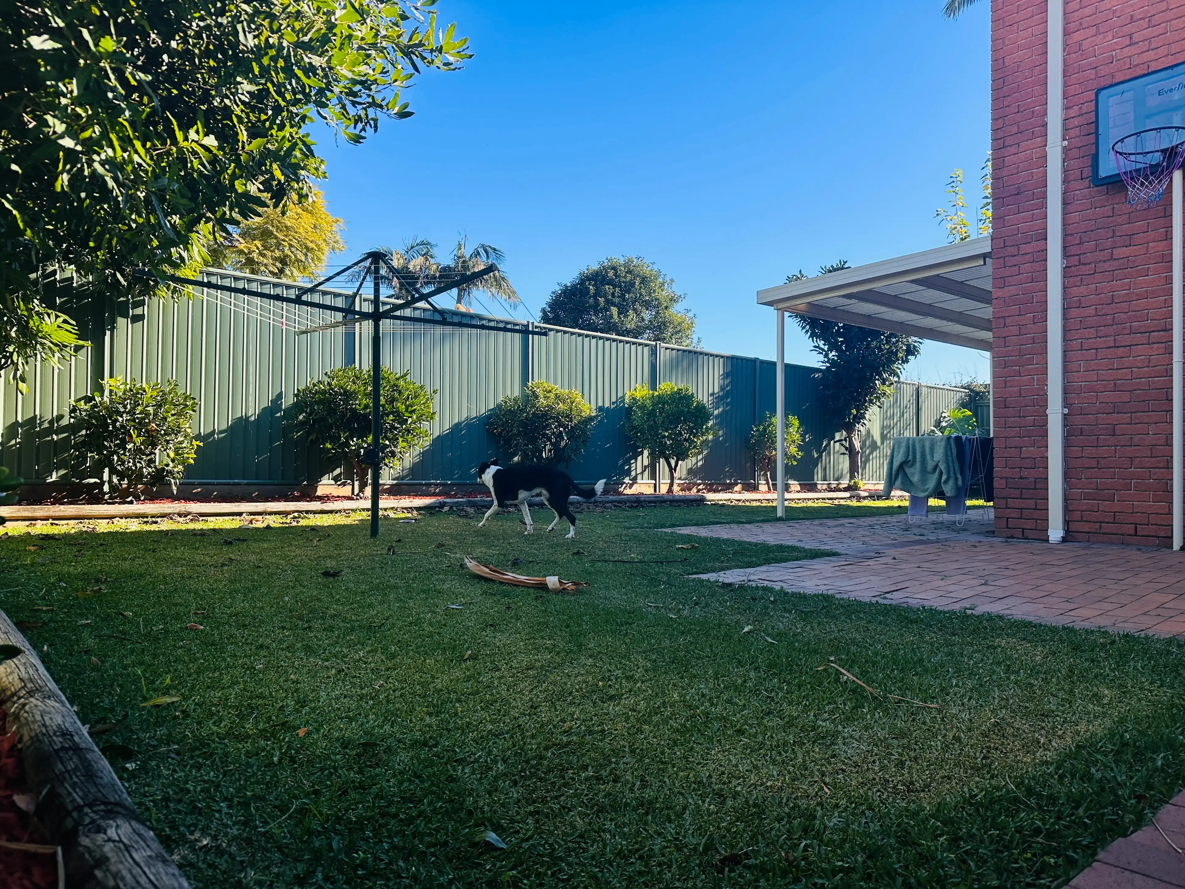 image-16