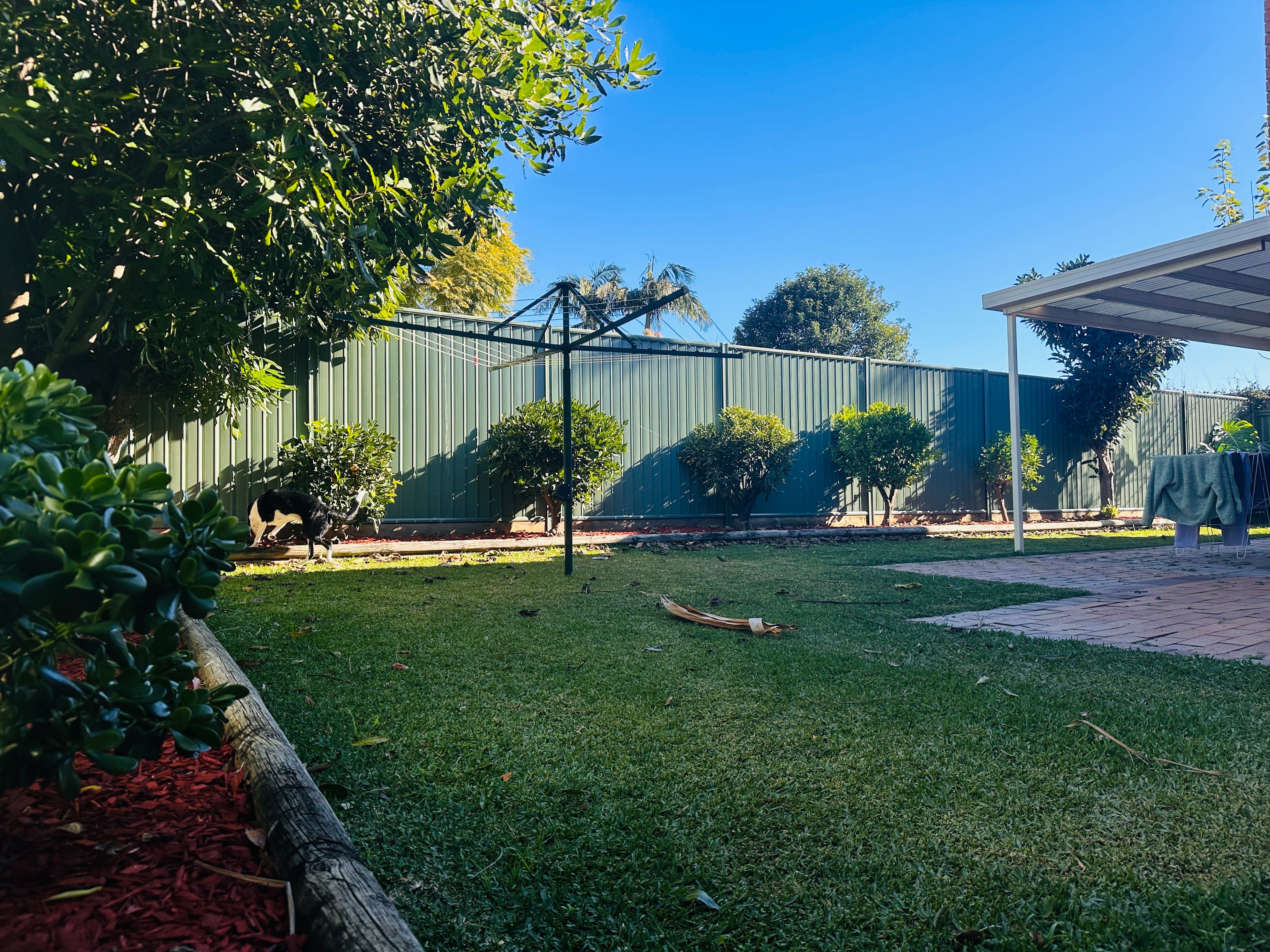 image-15