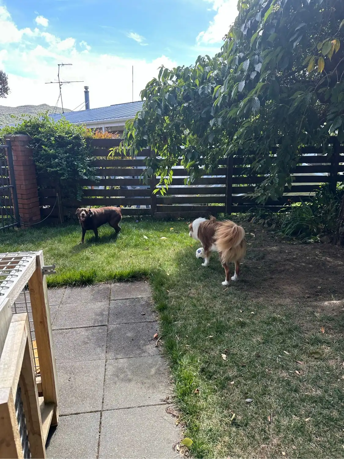 image-6