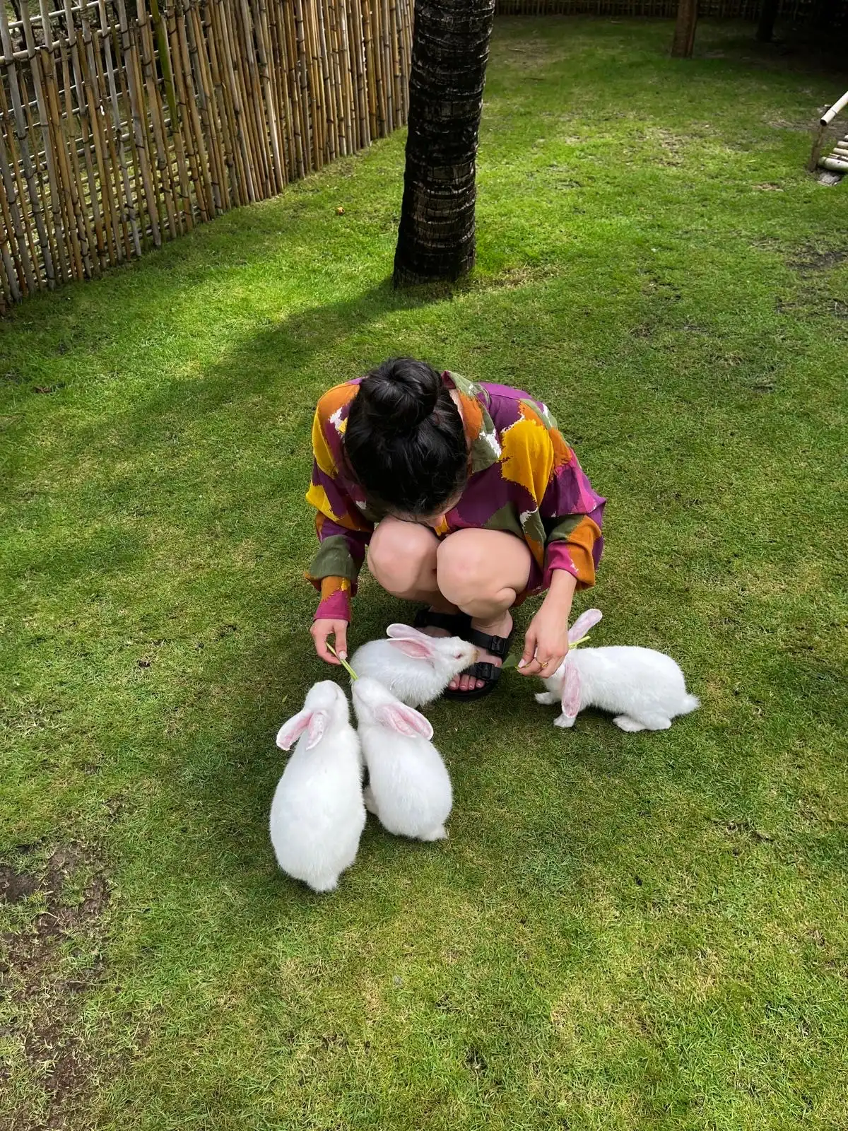 image-7