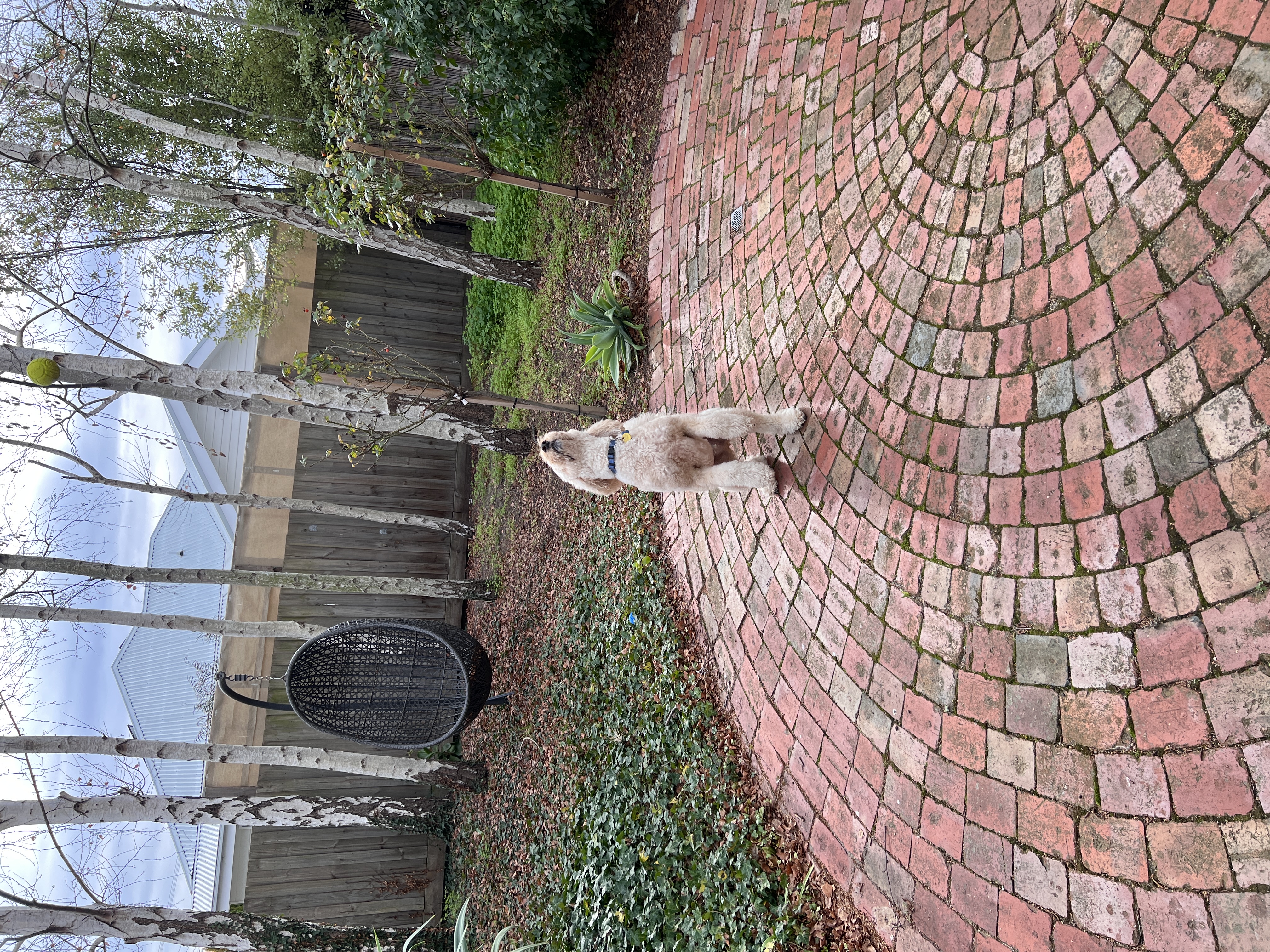 image-14