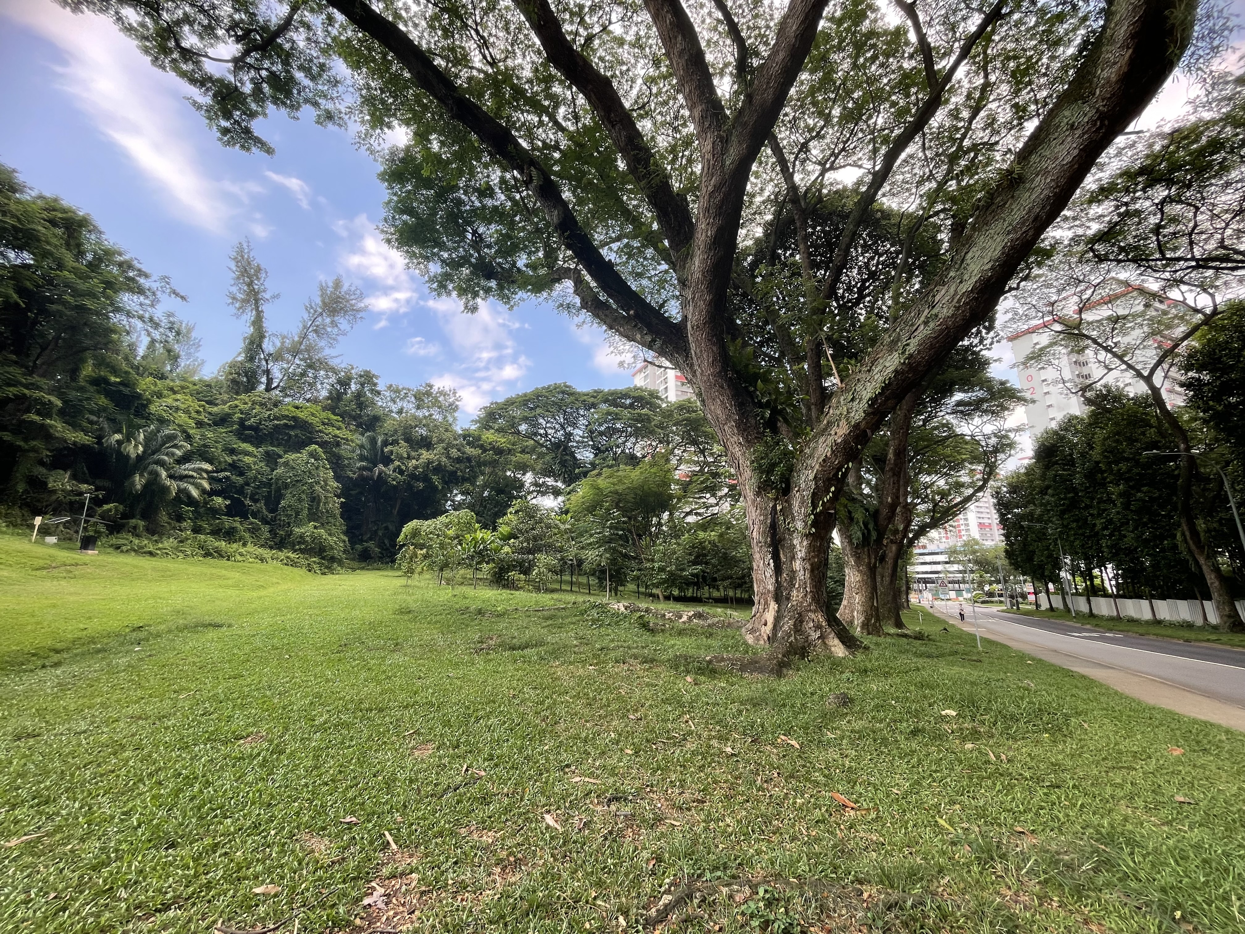 image-19