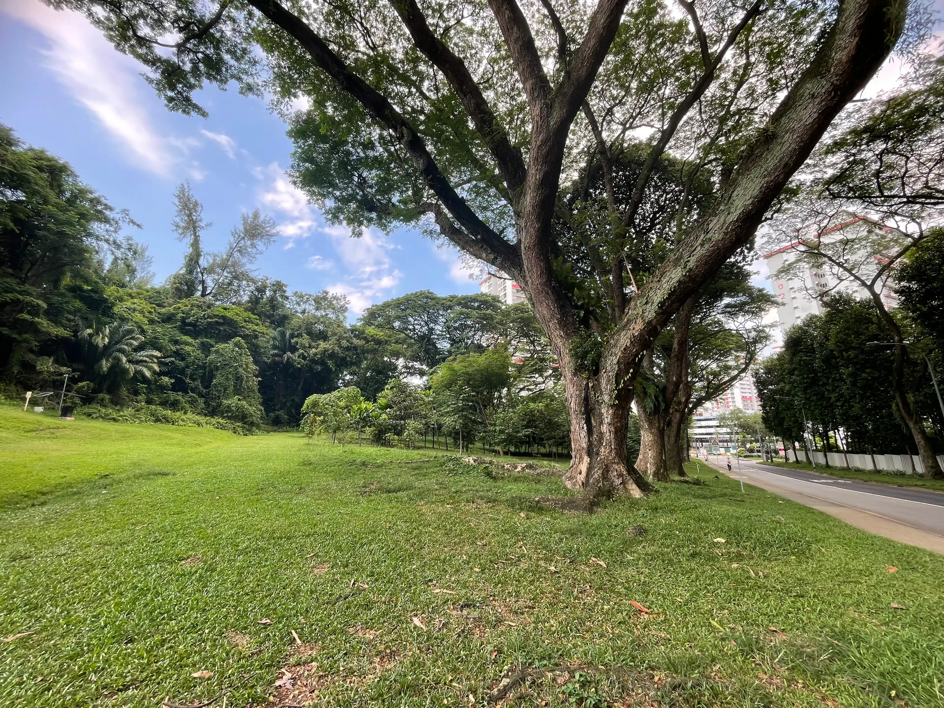 image-19