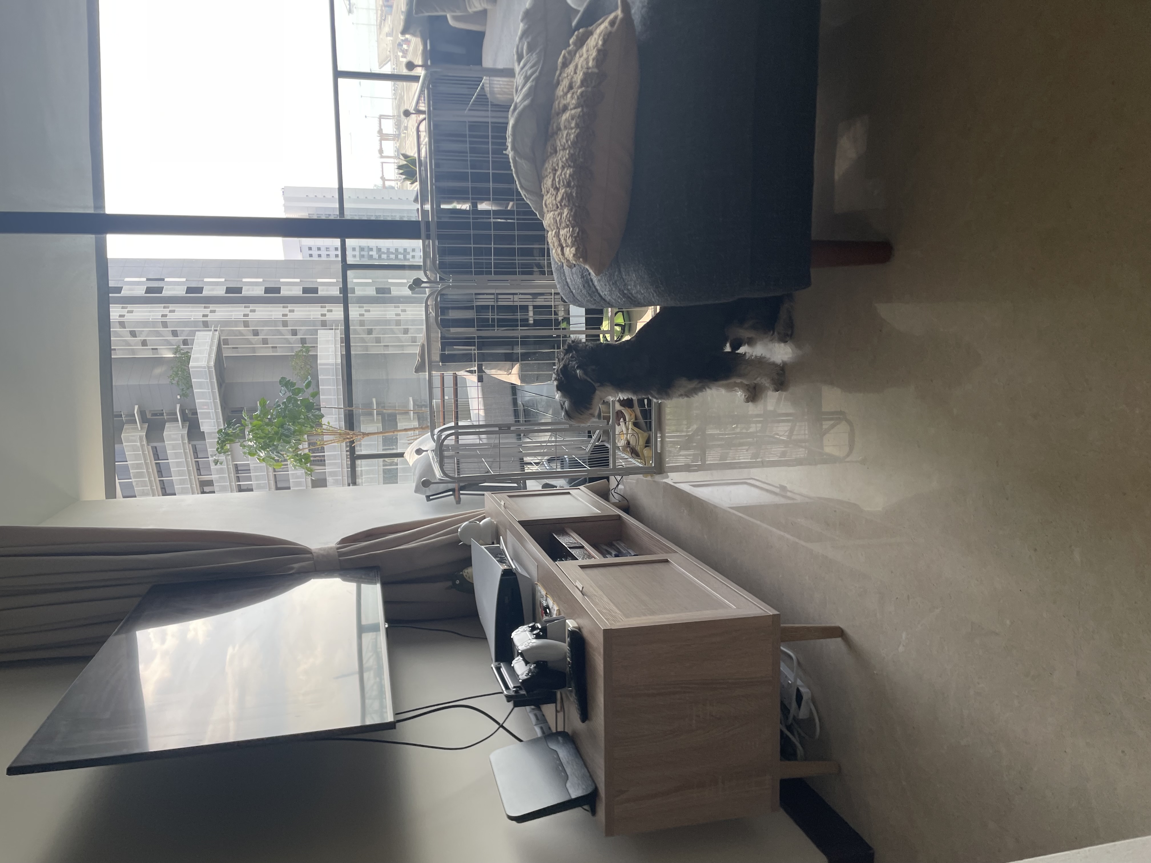 image-13
