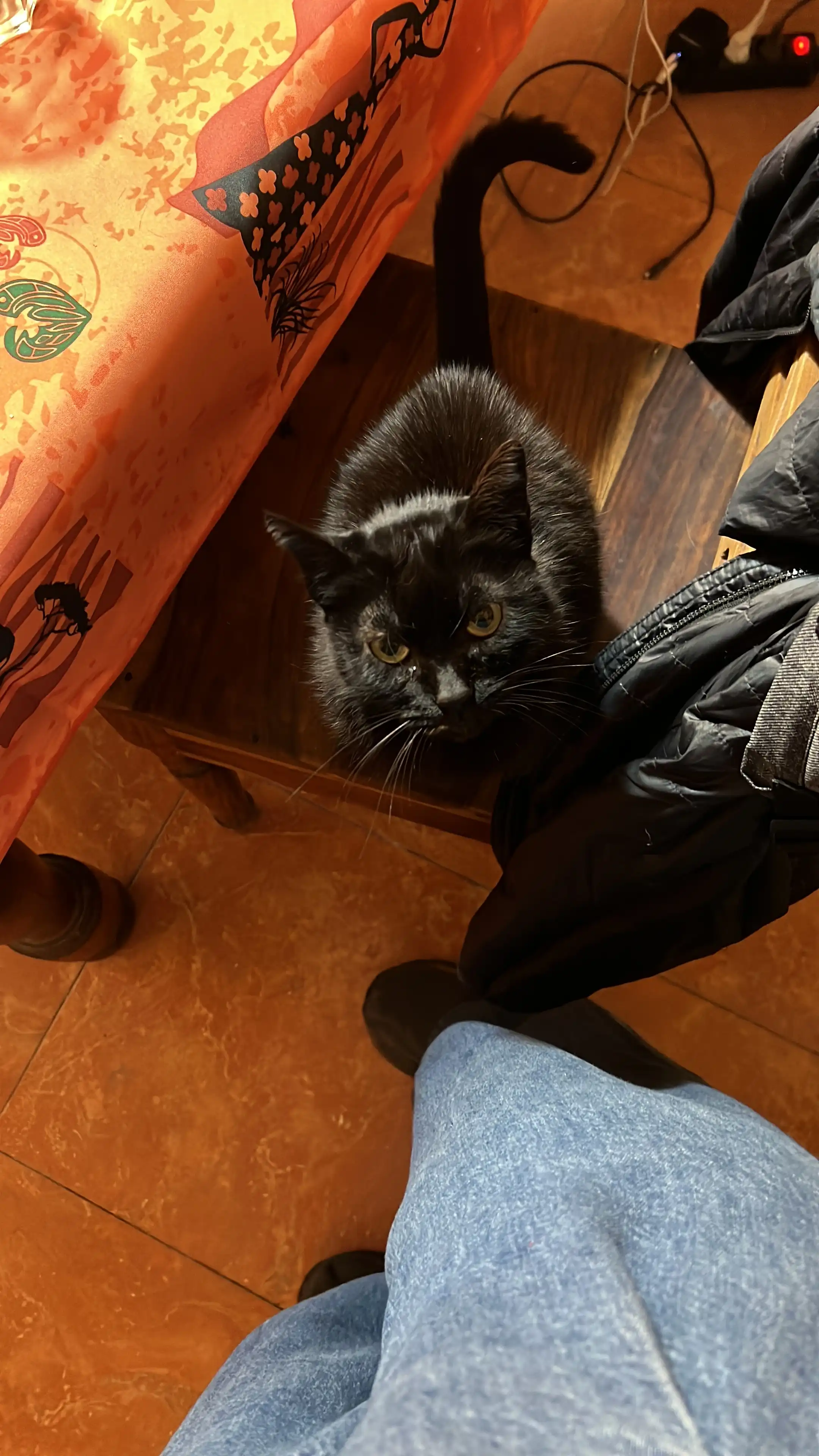 image-7