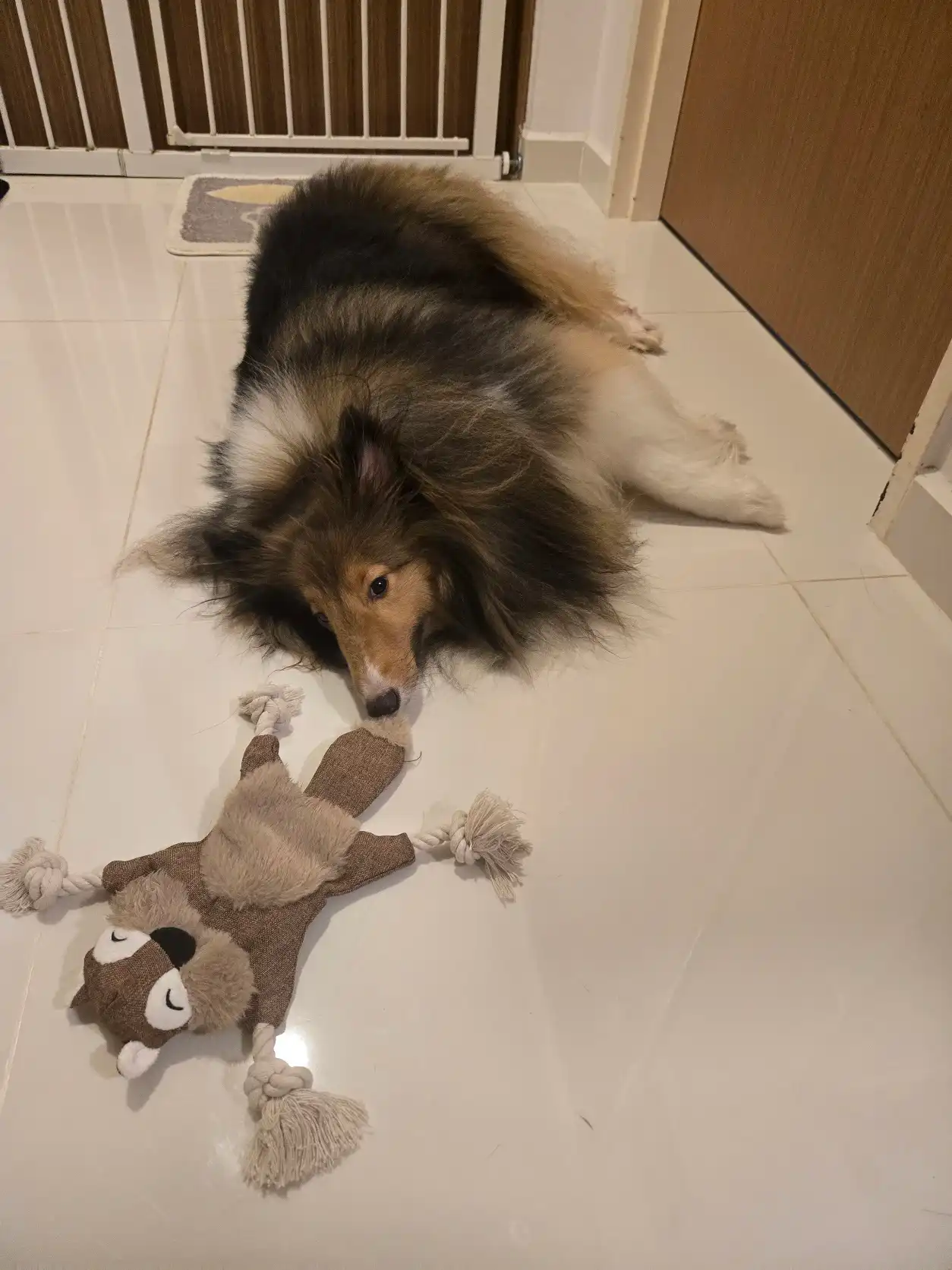 image-5