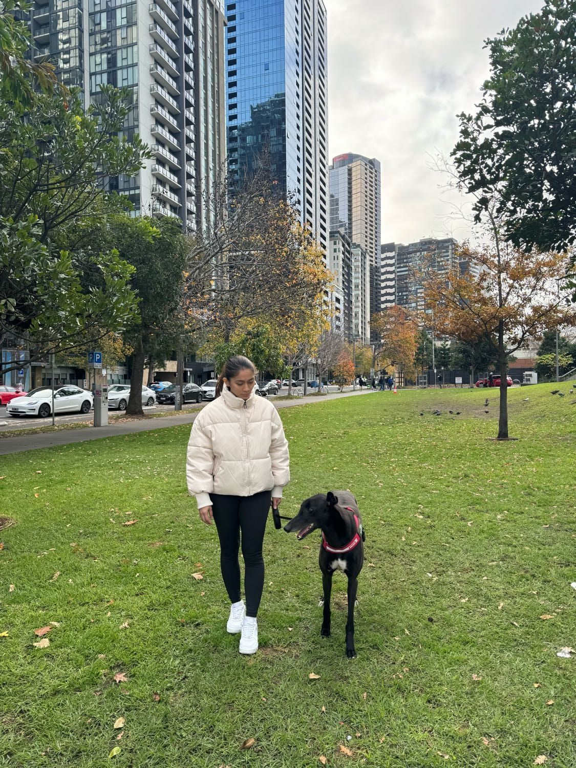 image-16