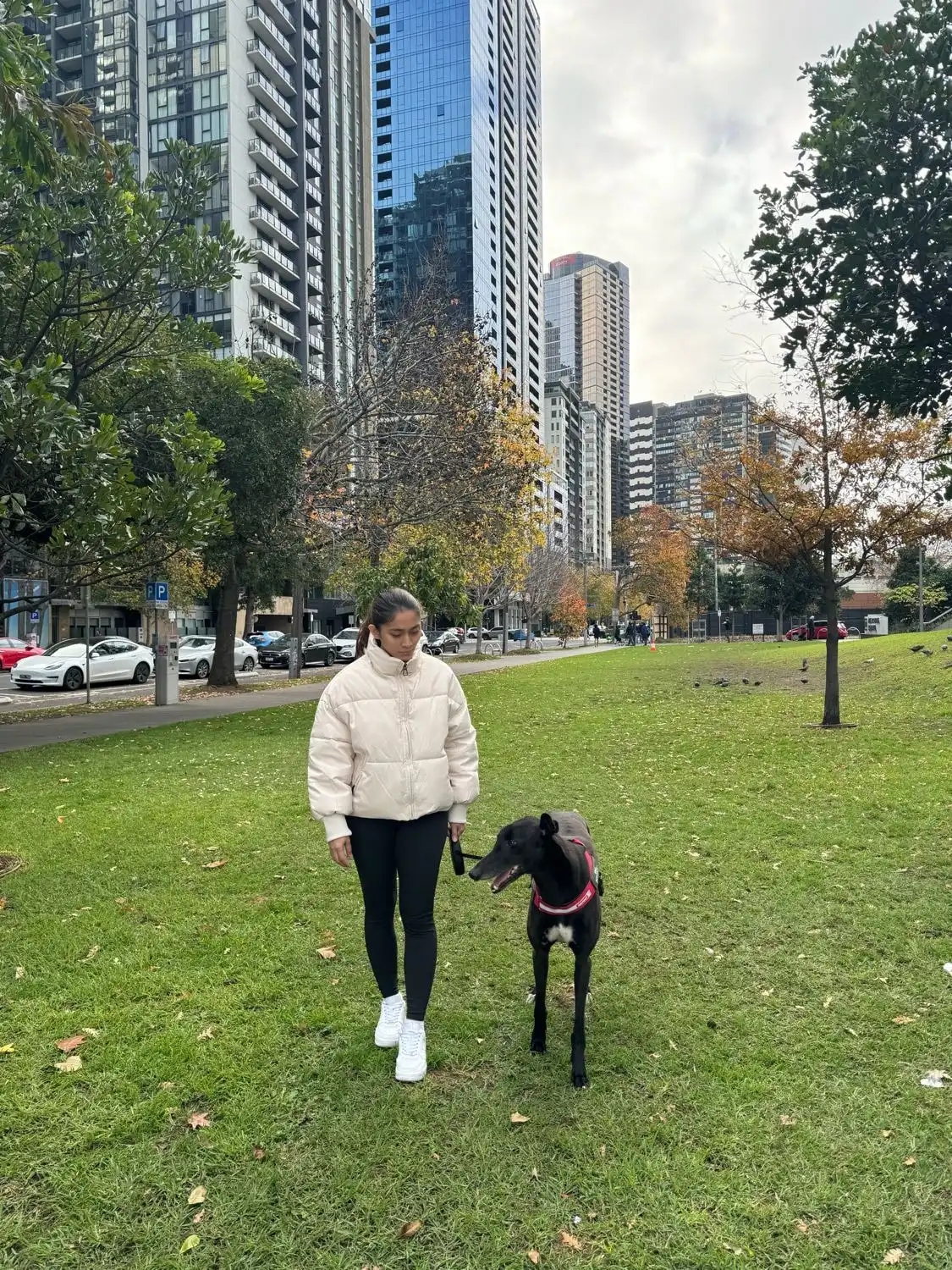 image-16