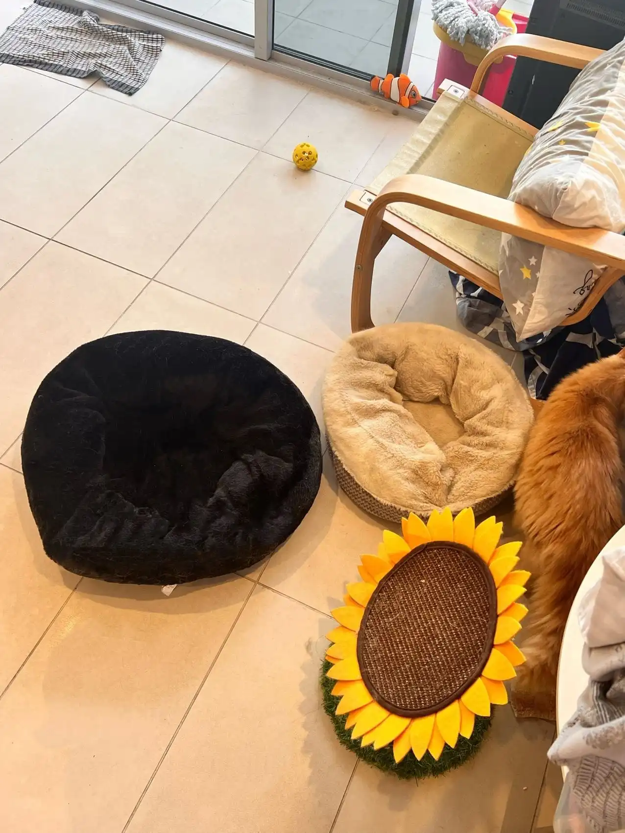 image-12