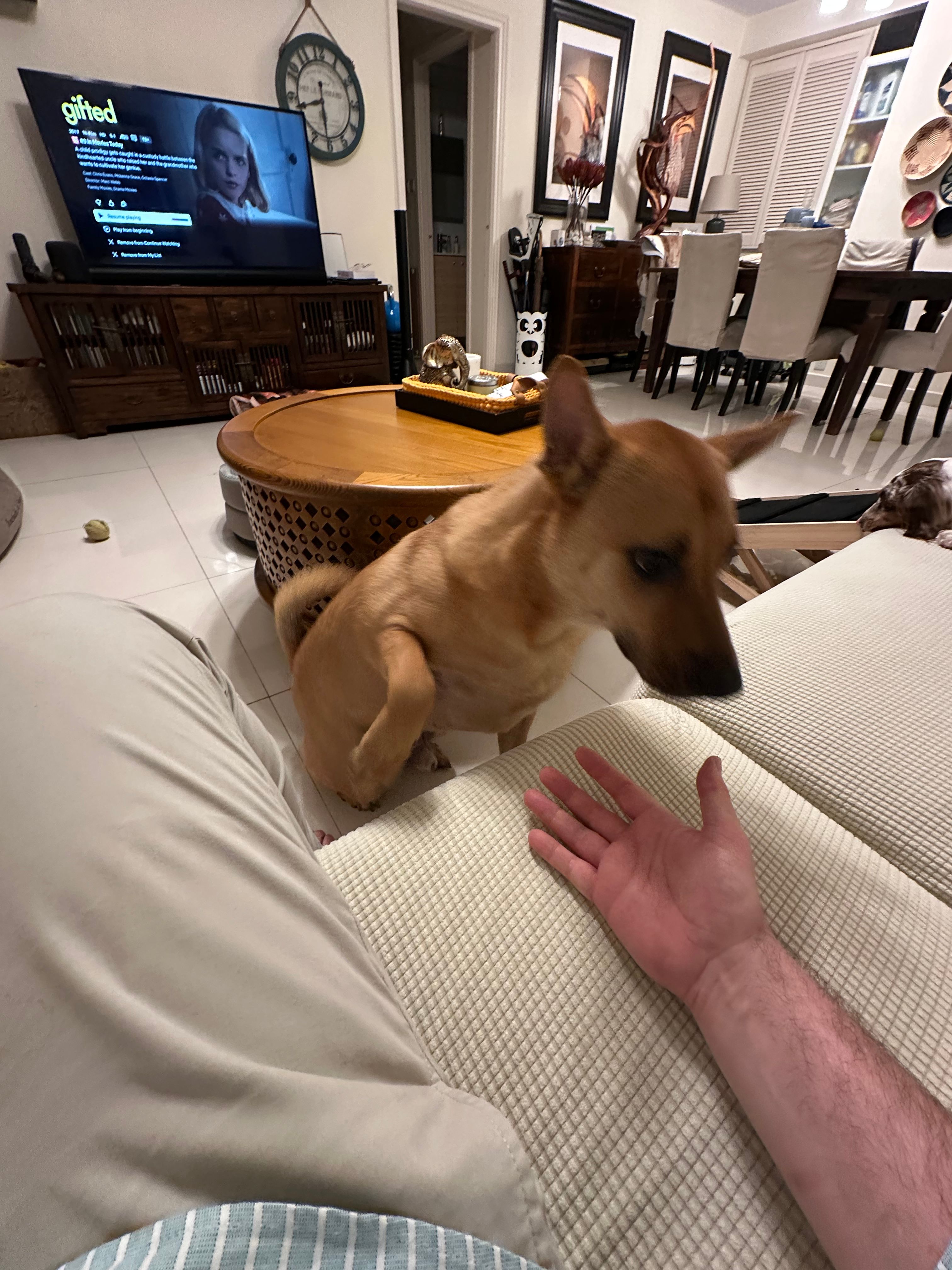 image-14