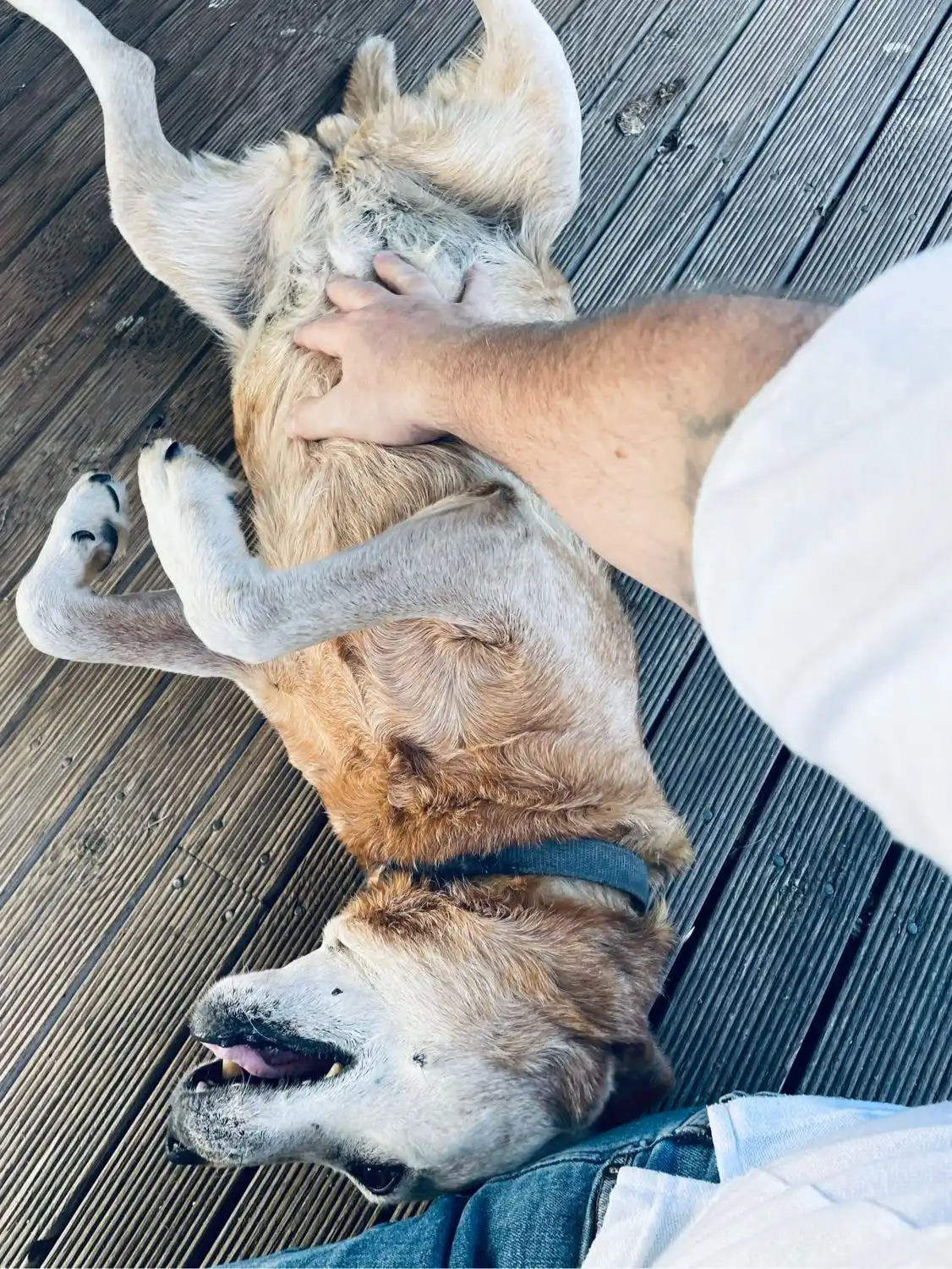 image-9